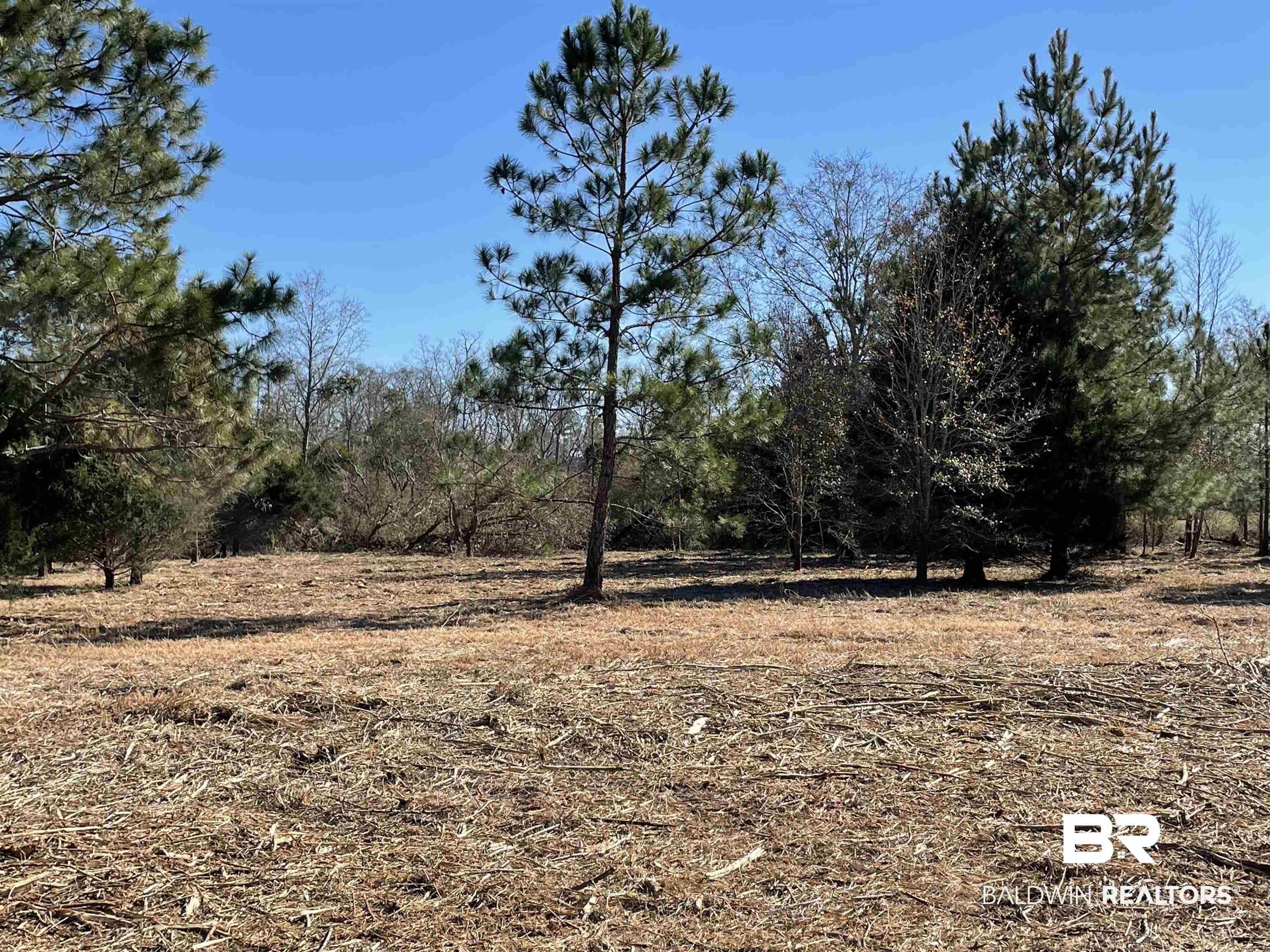 0 Makaira Drive Foley, AL 36535 - Photo 25 of 33