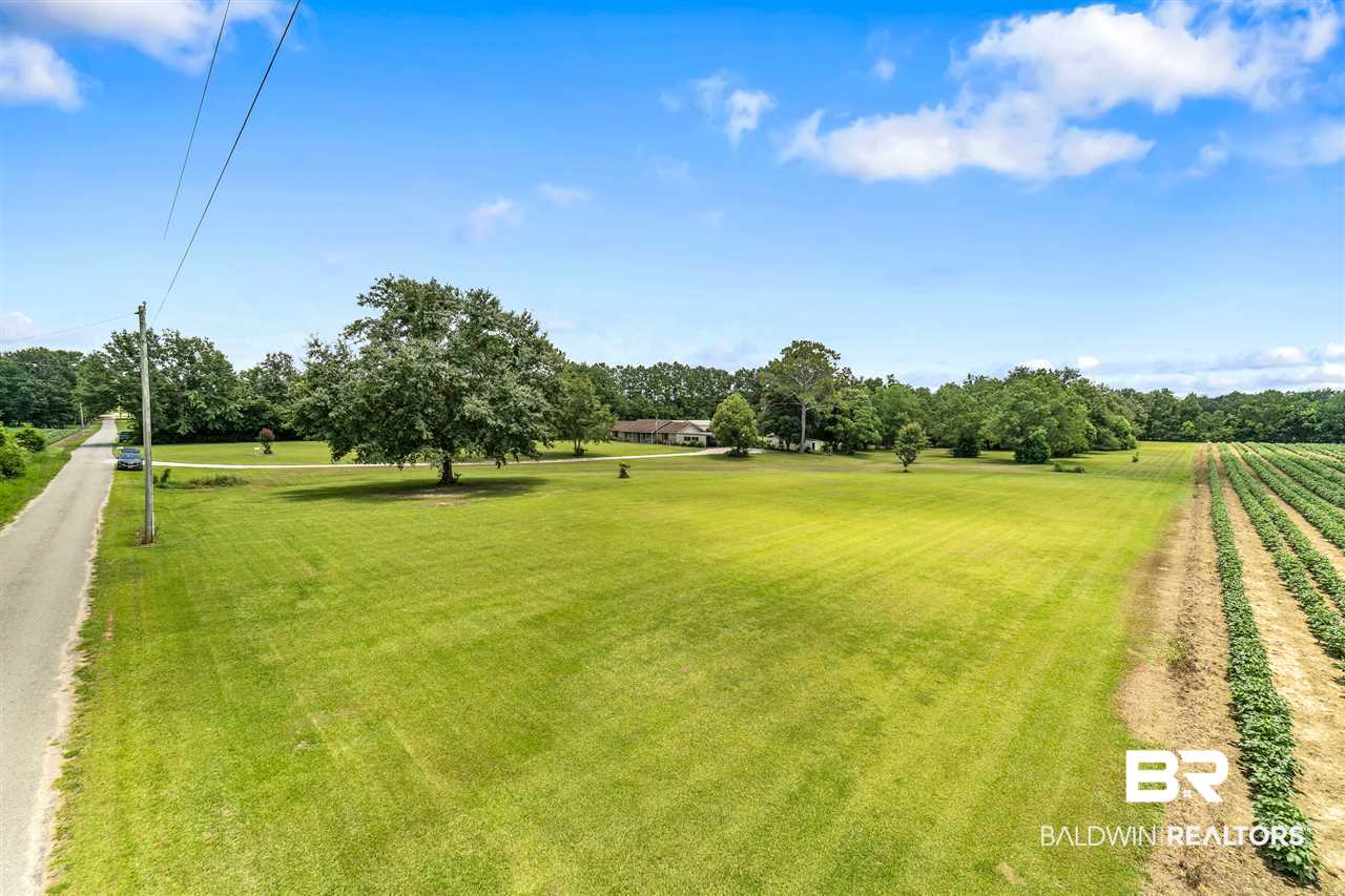 15208 Black Griffin Road Loxley, AL 36551 - Photo 7 of 32