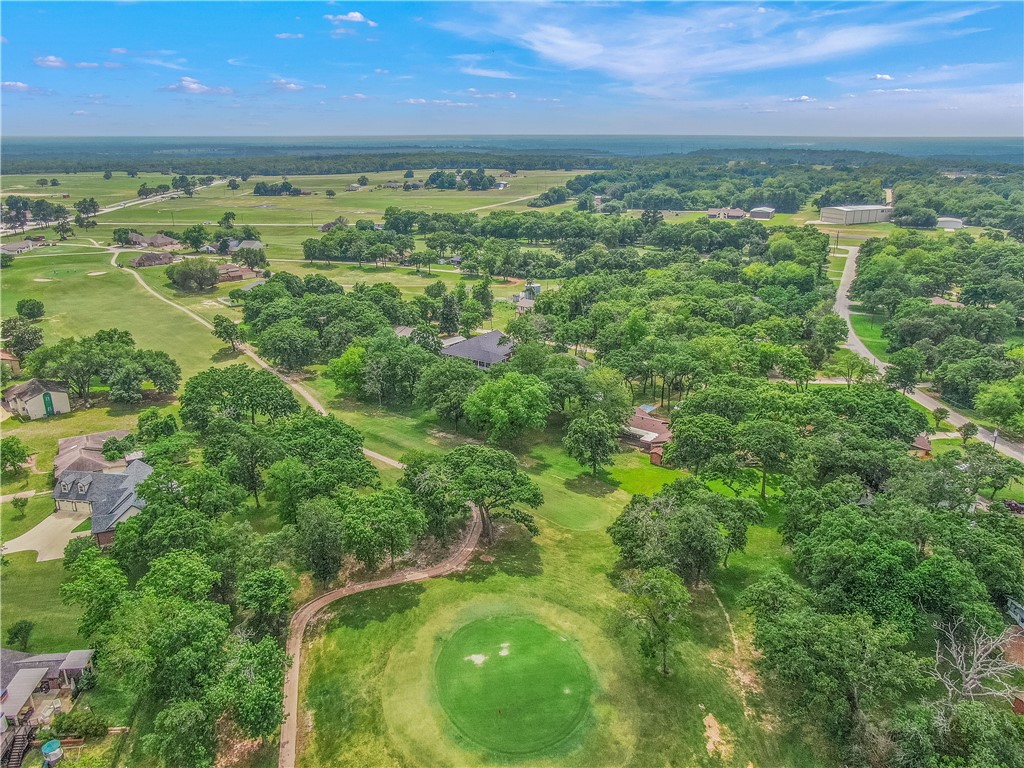 7 Hickory Ridge Lane Hilltop Lakes, TX 77871 - Photo 37 of 37 a view of a lush green space with lots of trees