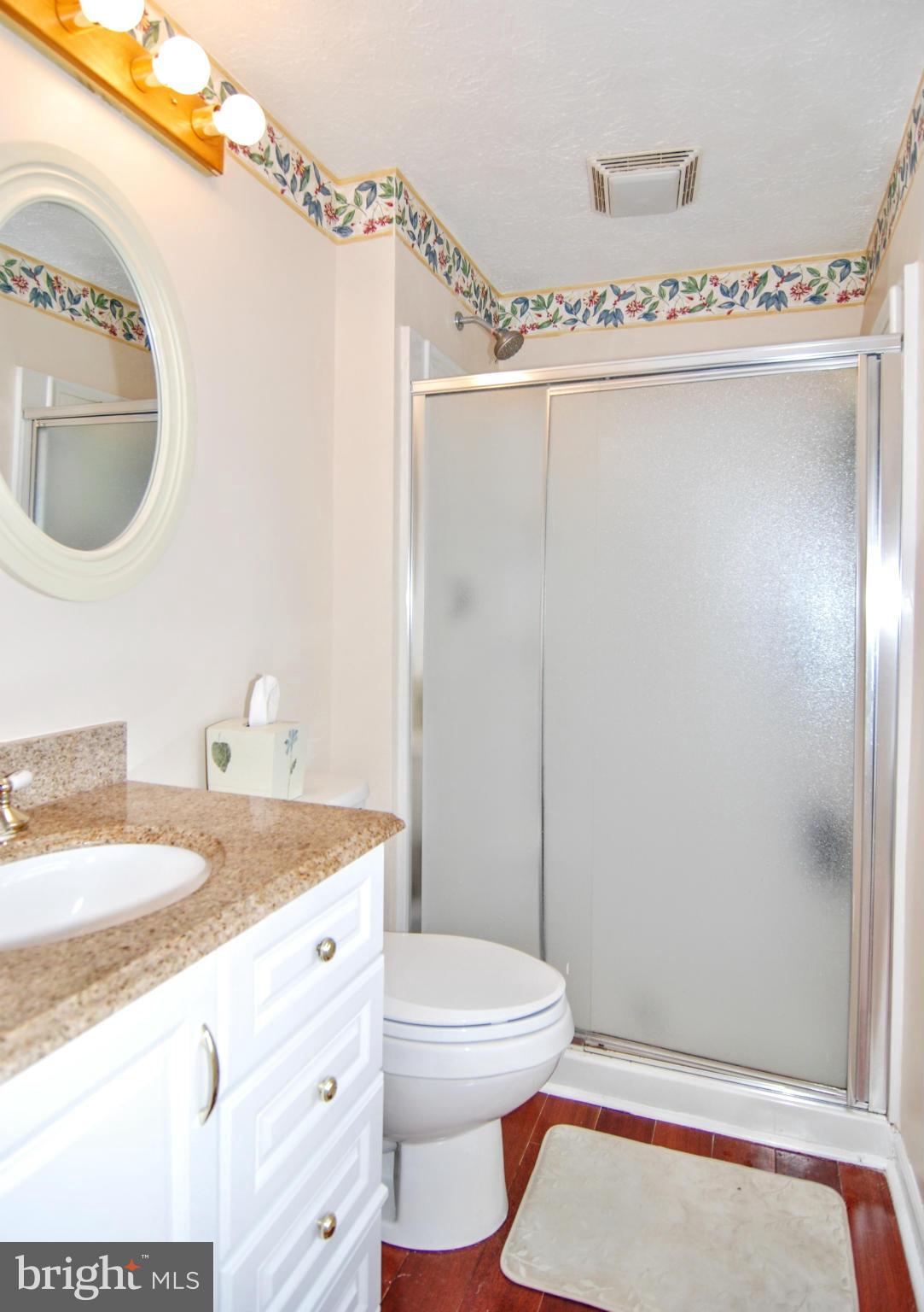 594 Old Stage Road Frederick, MD 21703 - Photo 20 of 30 Bath (Master)