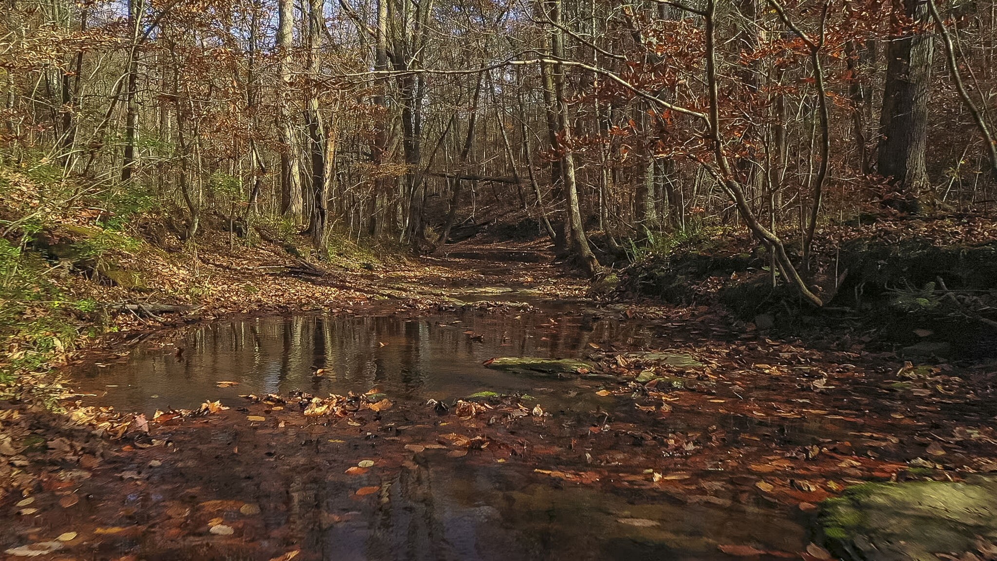 2530 Frank Abernathy Road Greenbrier, TN 37073 - Photo 3 of 61 Gallery Image 3