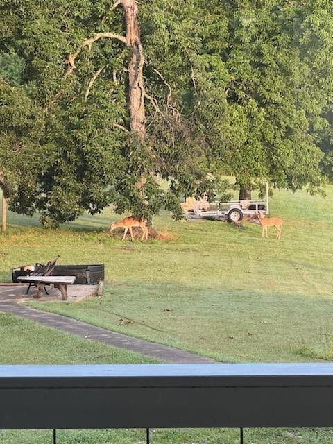 2530 Frank Abernathy Road Greenbrier, TN 37073 - Photo 45 of 61 Gallery Image 45