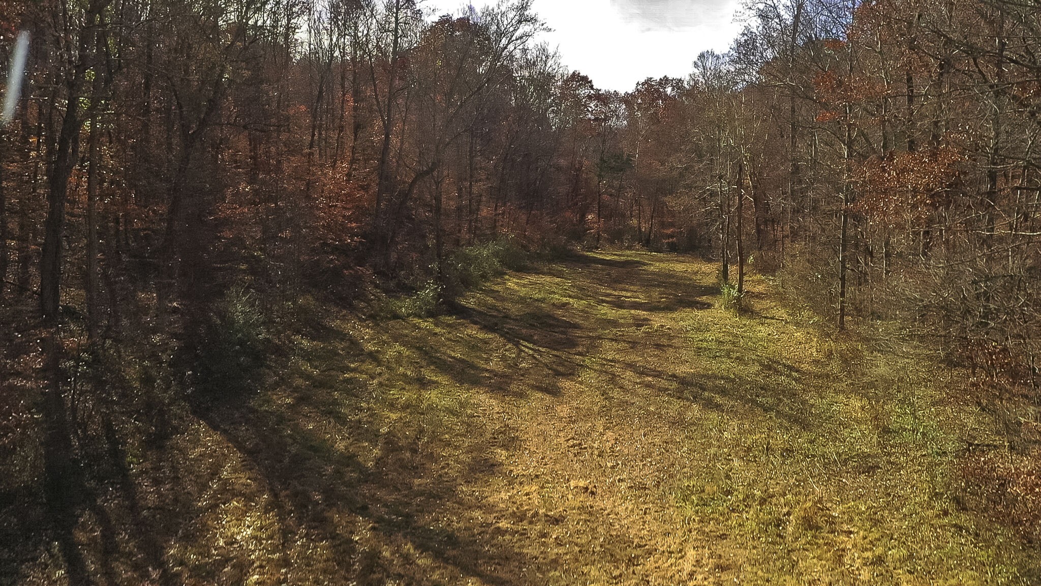 2530 Frank Abernathy Road Greenbrier, TN 37073 - Photo 51 of 61 Gallery Image 51