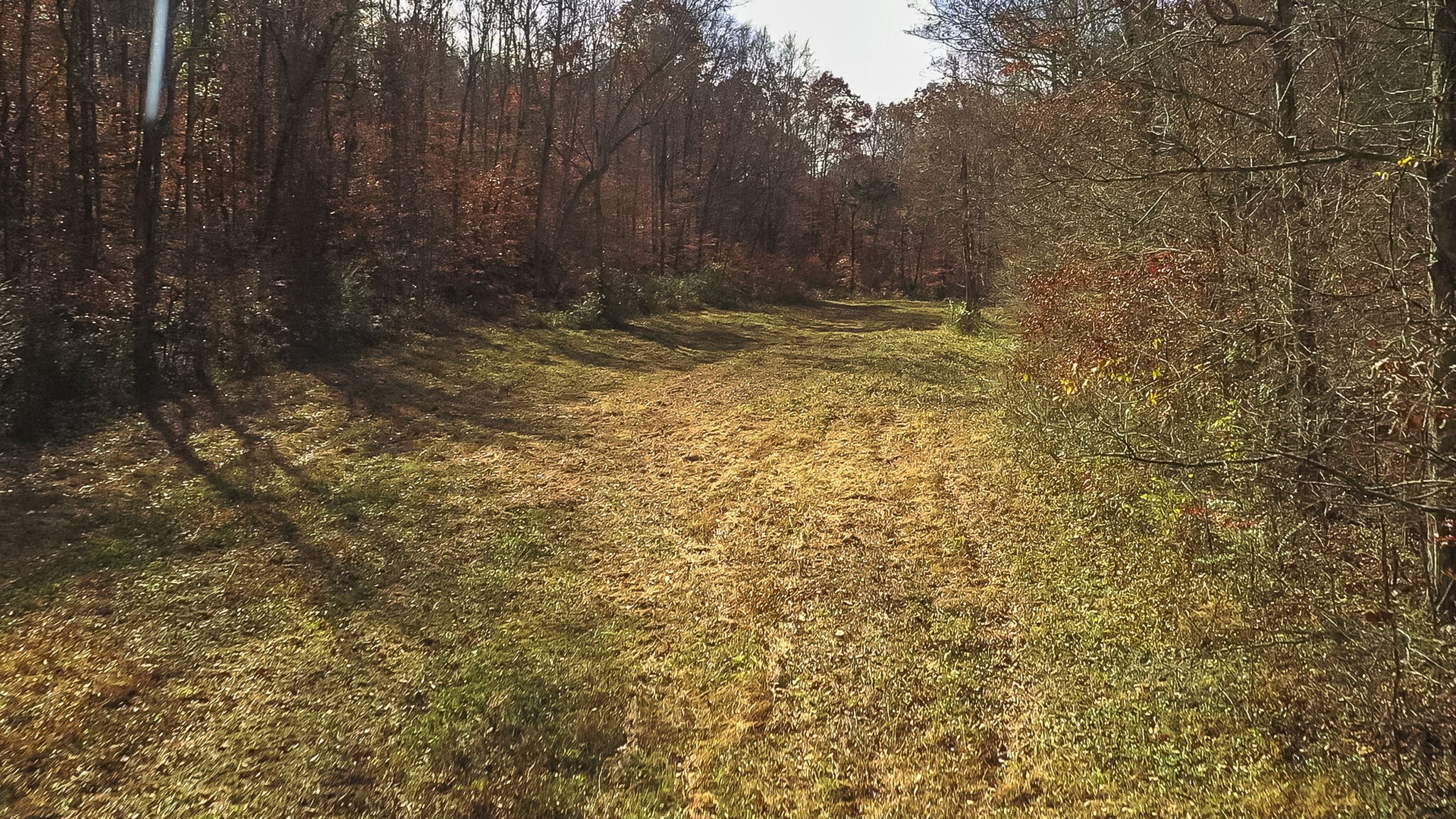 2530 Frank Abernathy Road Greenbrier, TN 37073 - Photo 52 of 61 Gallery Image 52