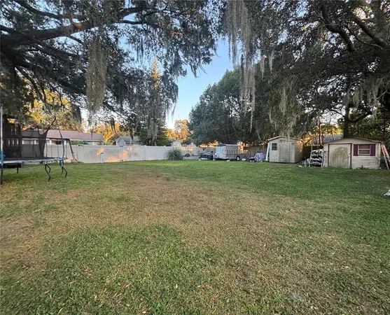 a view of a park with large trees