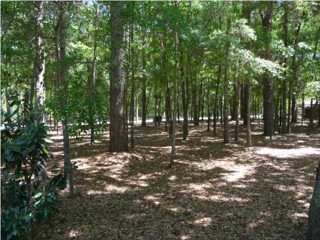 10091 Hercules Road McClellanville, SC 29458 - Photo 14 of 17 Additional Photo