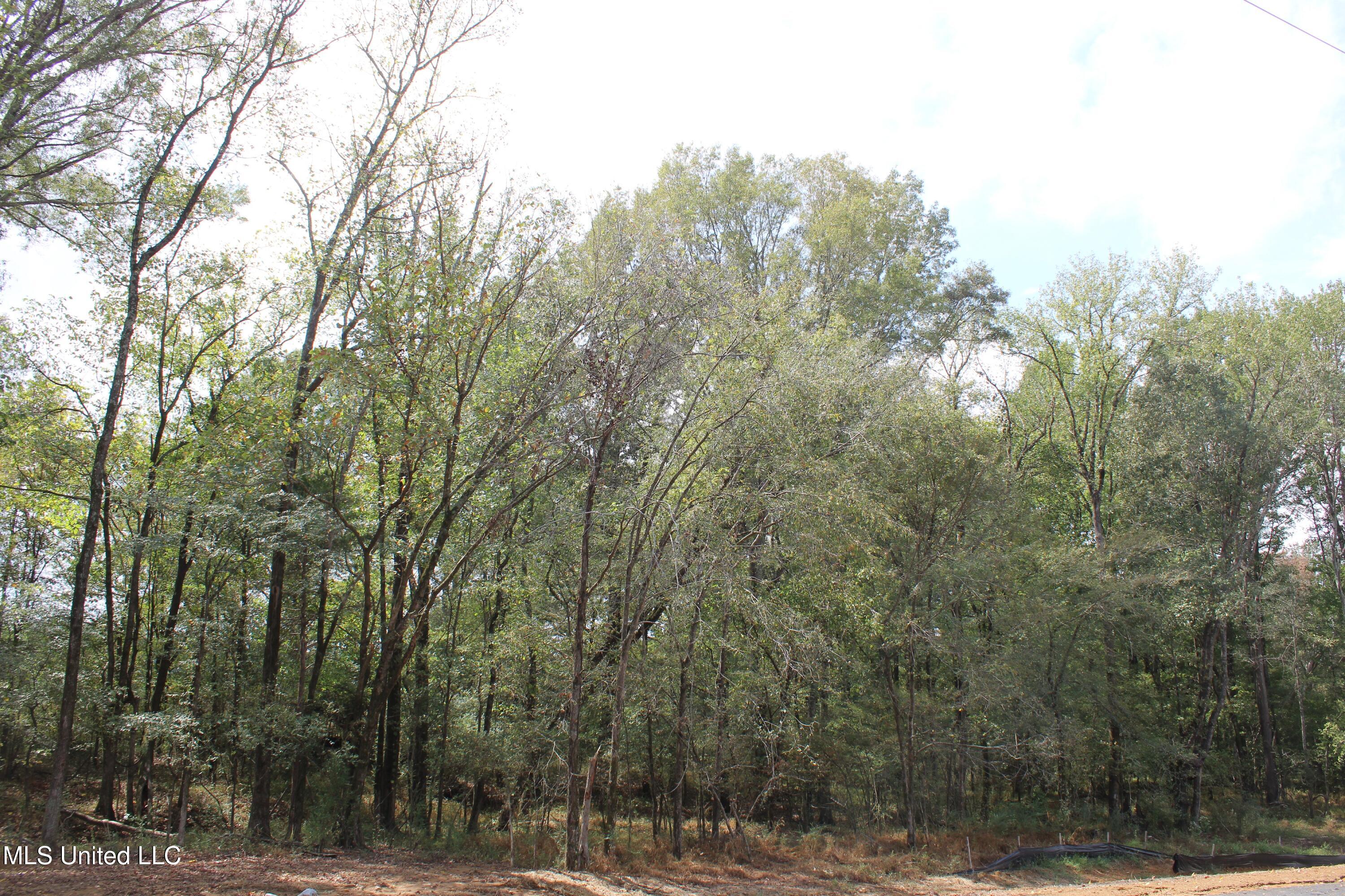 21 Hickory Hollow Road Coldwater, MS 38618 - Photo 12 of 70 IMG_6569