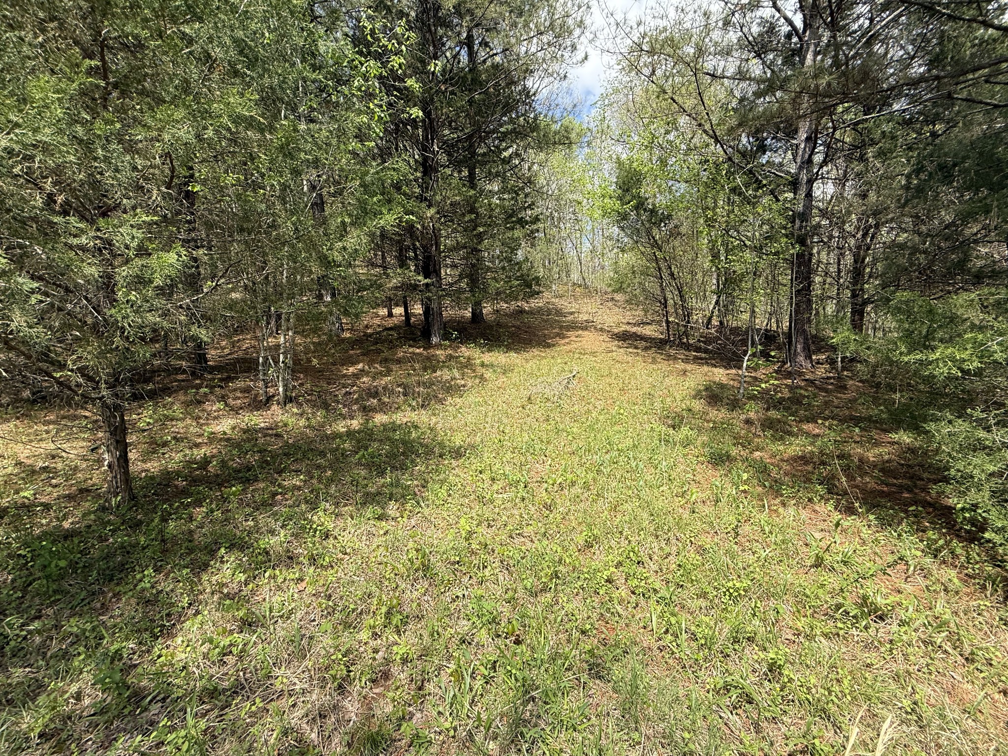 0 Tracy Road Hohenwald, TN 38462 - Photo 1 of 27 Gallery Image 1