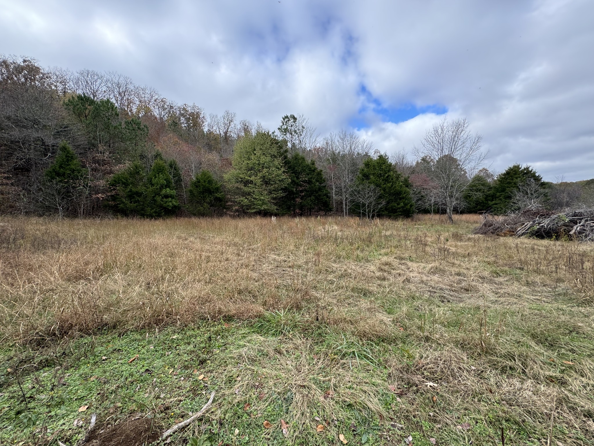 0 Tracy Road Hohenwald, TN 38462 - Photo 13 of 27 Gallery Image 13