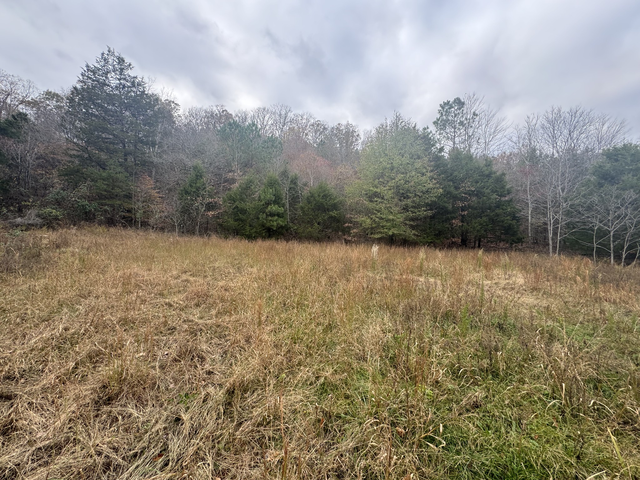 0 Tracy Road Hohenwald, TN 38462 - Photo 14 of 27 Gallery Image 14