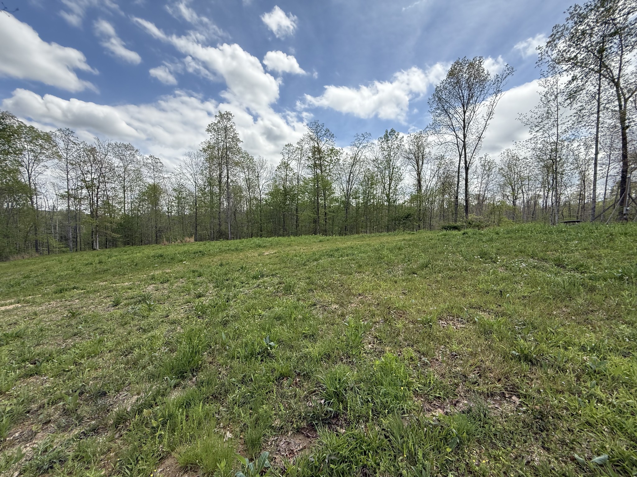 0 Tracy Road Hohenwald, TN 38462 - Photo 16 of 27 Gallery Image 16