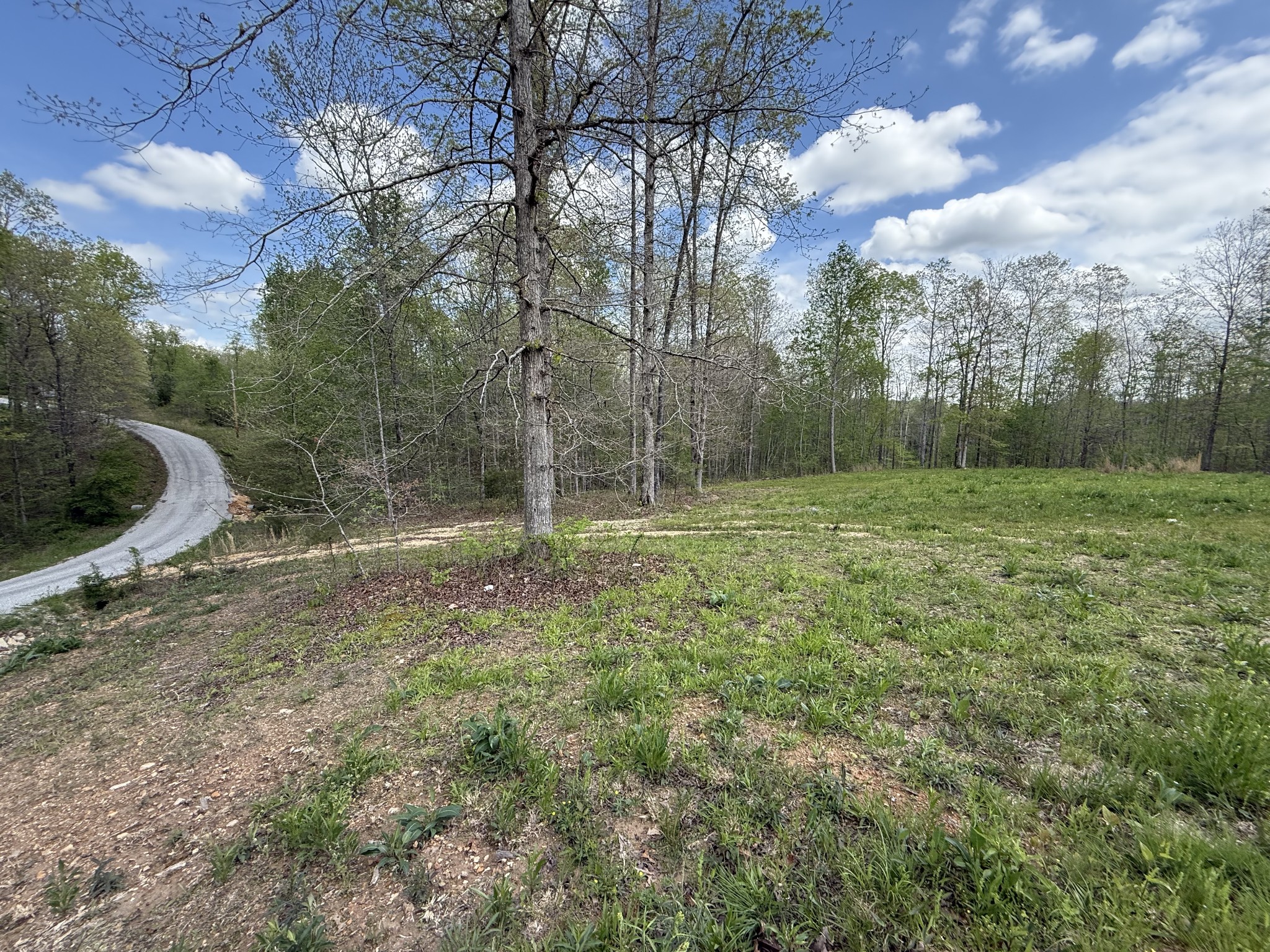 0 Tracy Road Hohenwald, TN 38462 - Photo 18 of 27 Gallery Image 18