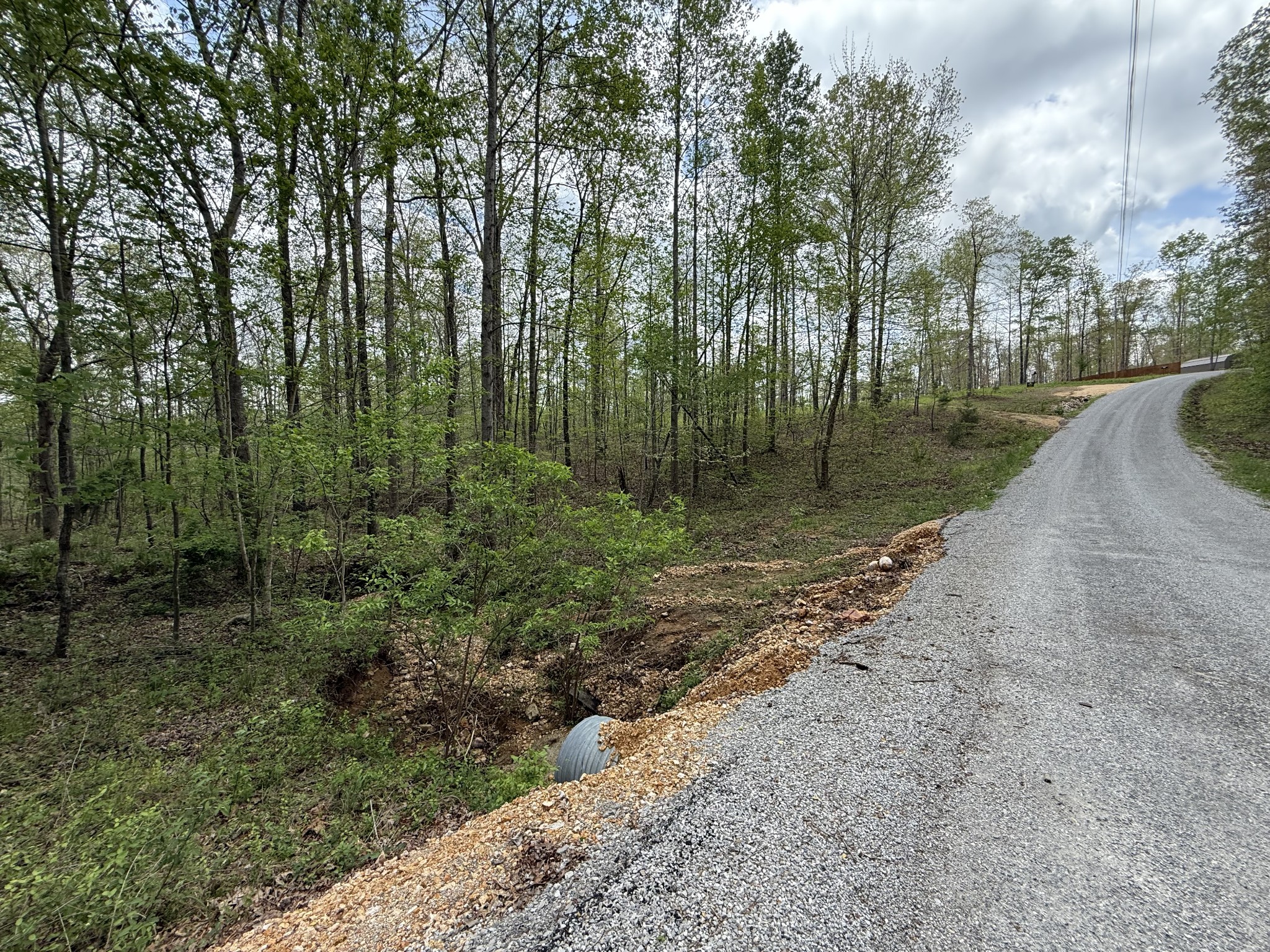 0 Tracy Road Hohenwald, TN 38462 - Photo 20 of 27 Gallery Image 20