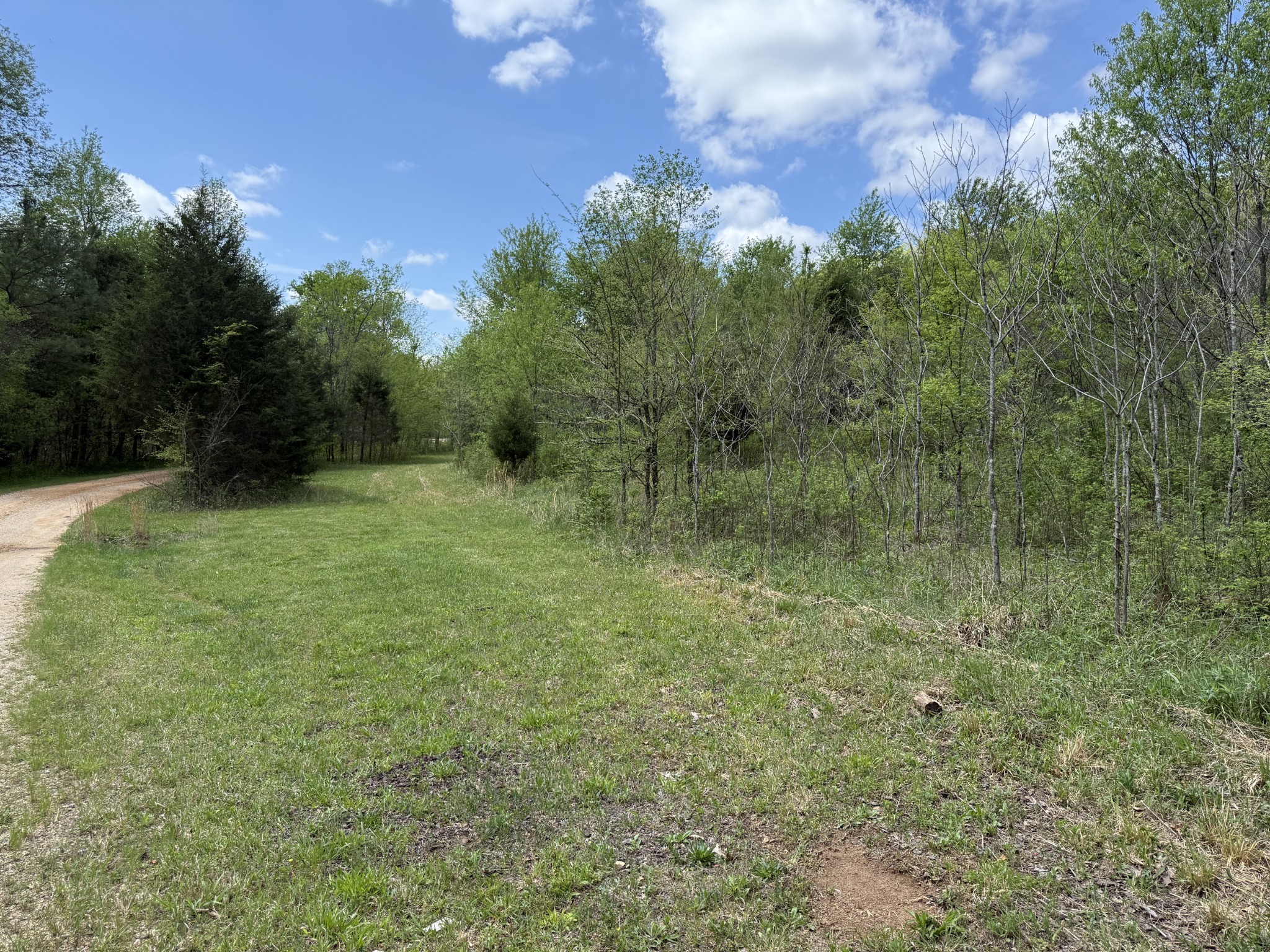 0 Tracy Road Hohenwald, TN 38462 - Photo 2 of 27 Gallery Image 2