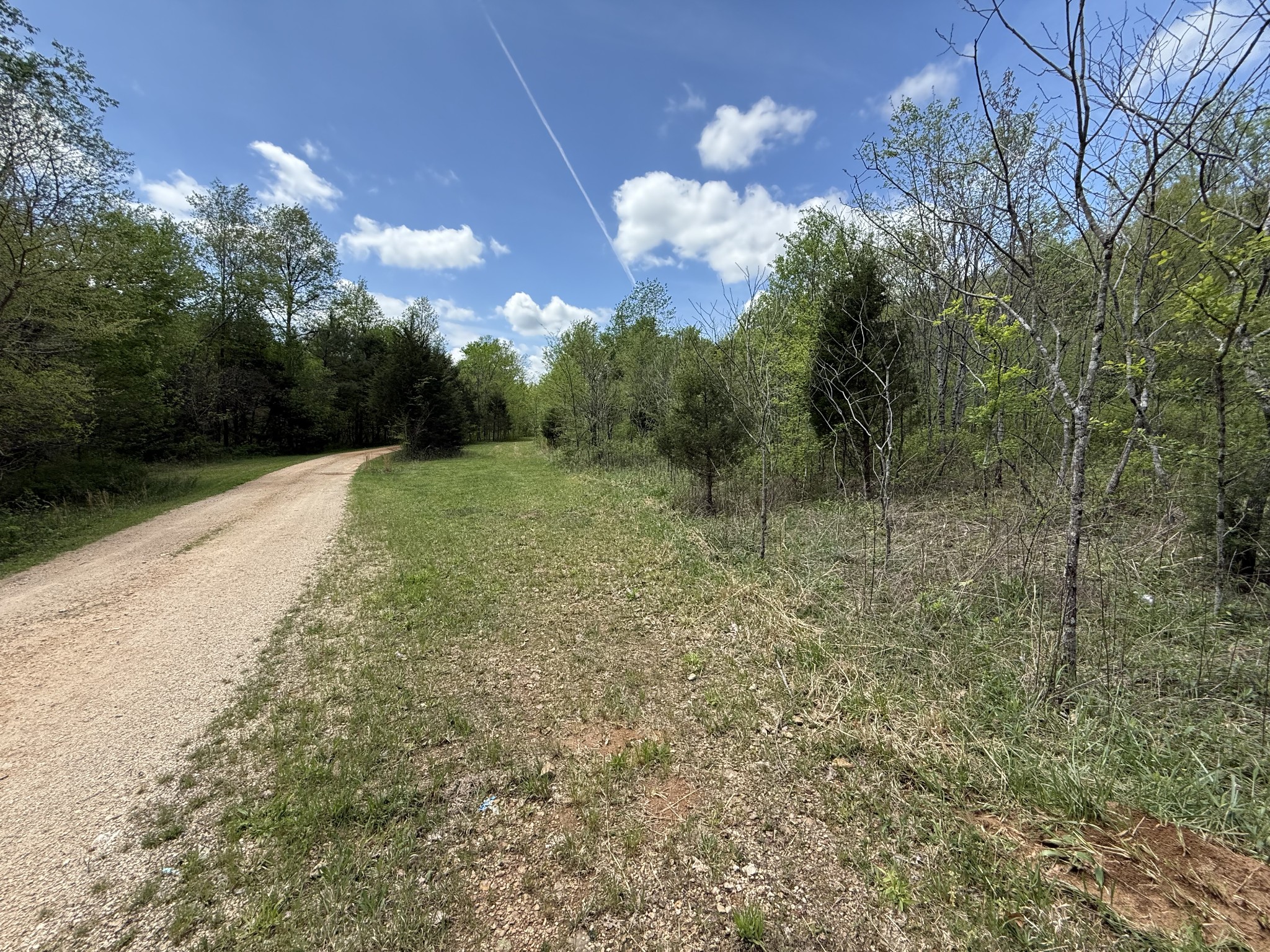 0 Tracy Road Hohenwald, TN 38462 - Photo 24 of 27 Gallery Image 24