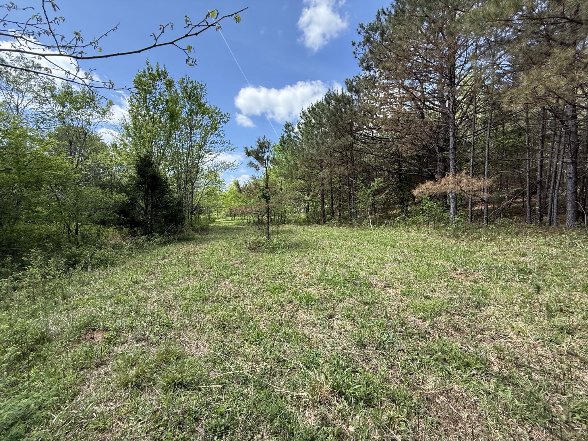 0 Tracy Road Hohenwald, TN 38462 - Photo 26 of 27 Gallery Image 26
