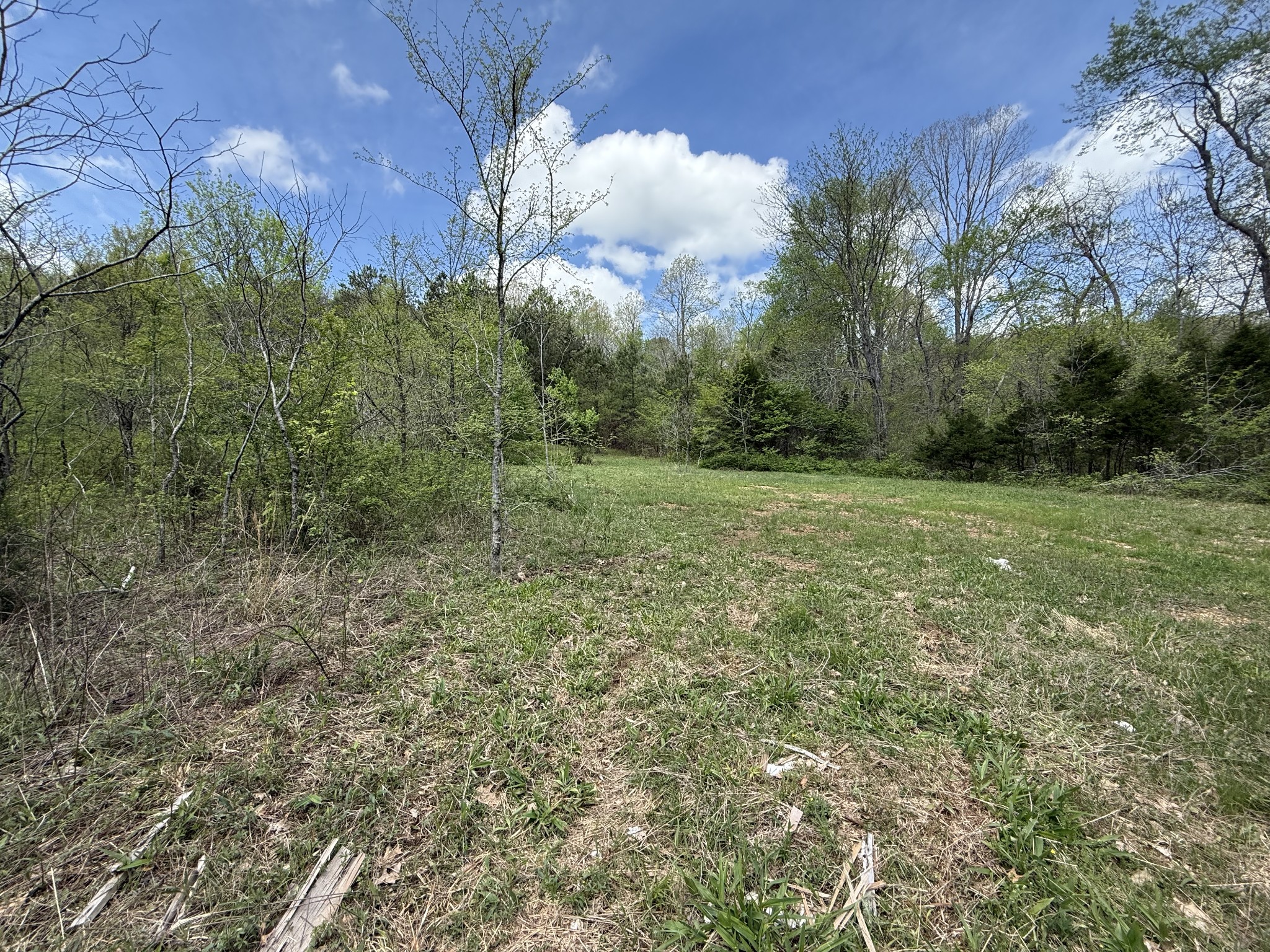 0 Tracy Road Hohenwald, TN 38462 - Photo 27 of 27 Gallery Image 27