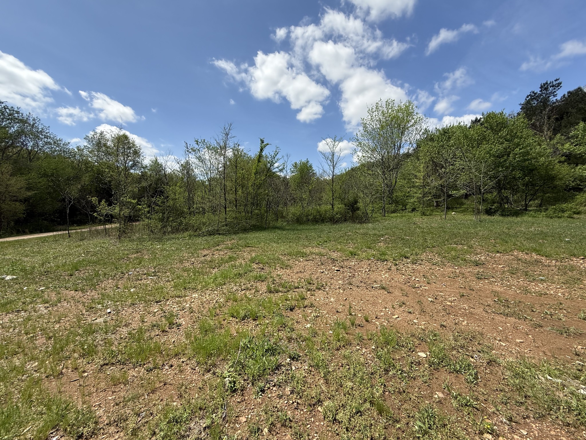 0 Tracy Road Hohenwald, TN 38462 - Photo 3 of 27 Gallery Image 3