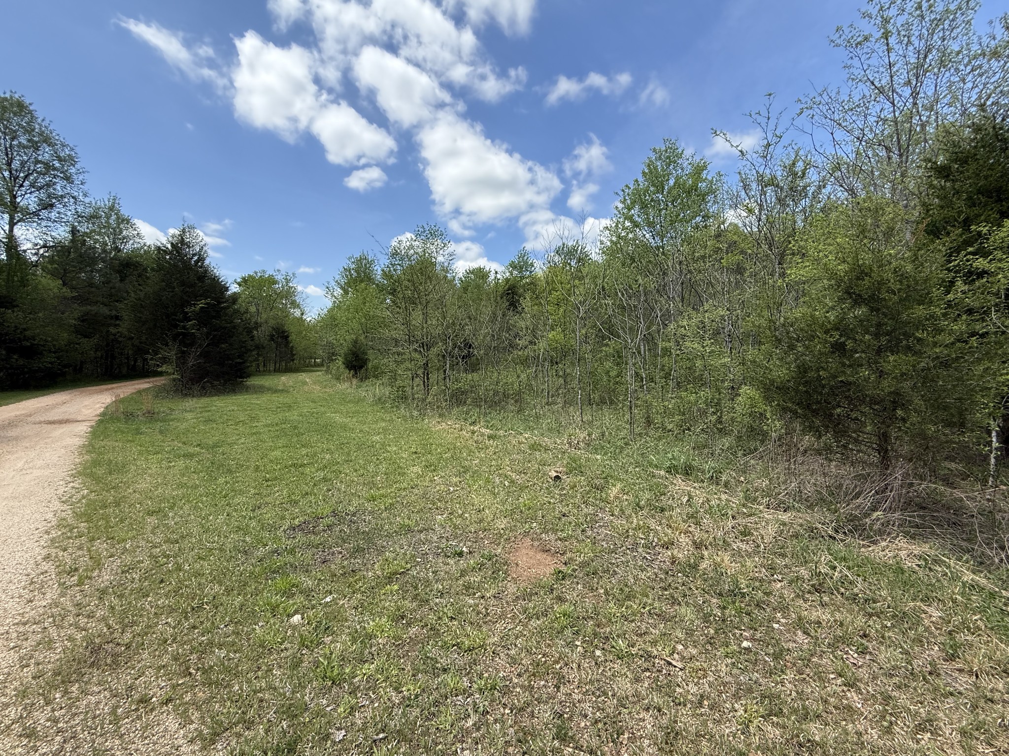 0 Tracy Road Hohenwald, TN 38462 - Photo 4 of 27 Gallery Image 4