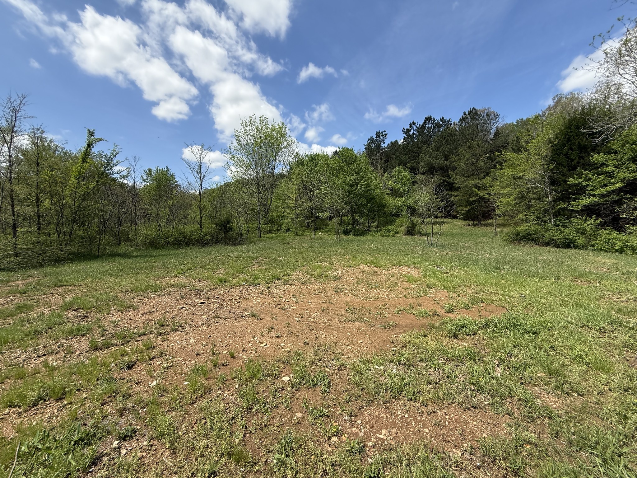 0 Tracy Road Hohenwald, TN 38462 - Photo 5 of 27 Gallery Image 5