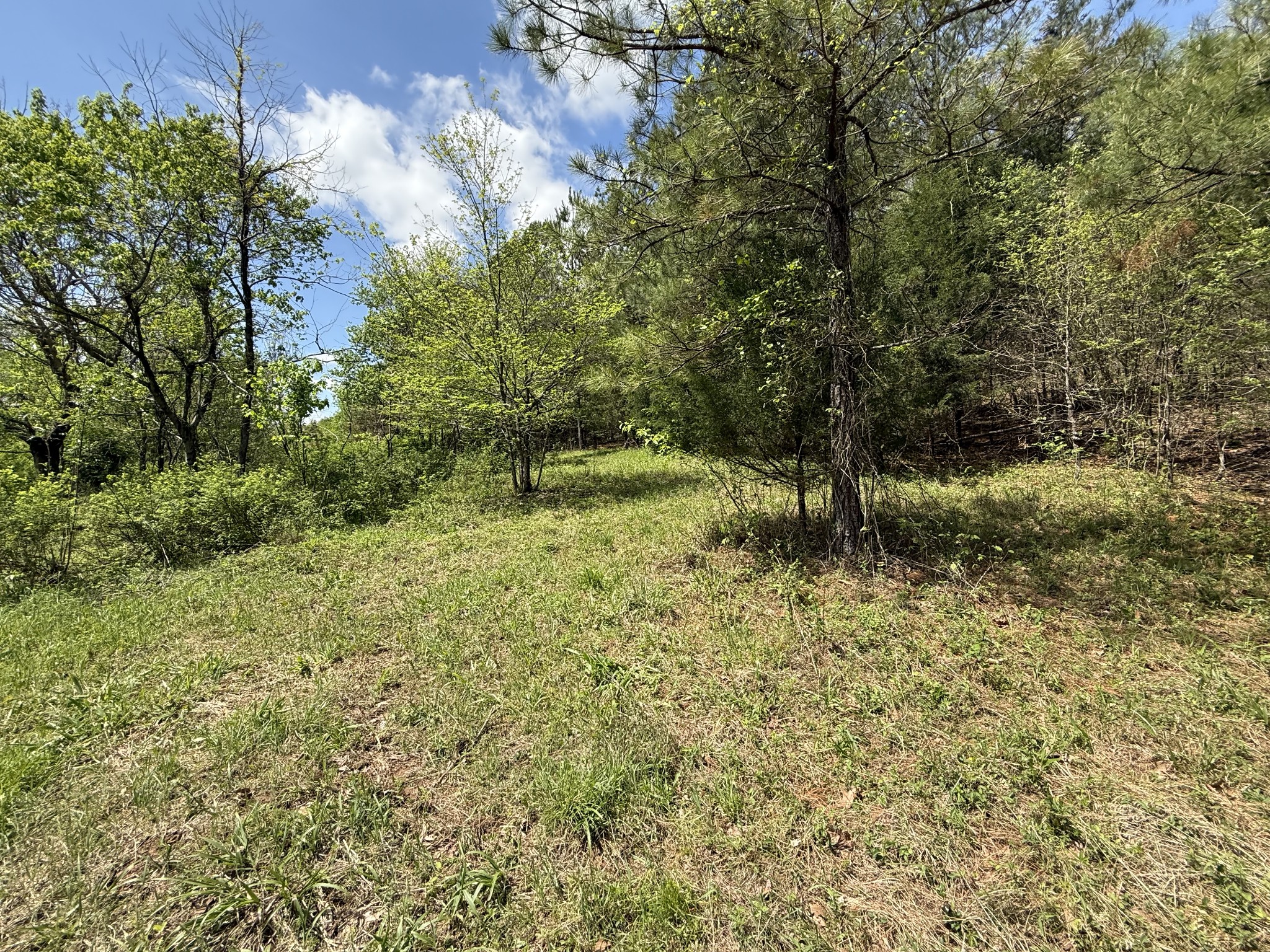 0 Tracy Road Hohenwald, TN 38462 - Photo 6 of 27 Gallery Image 6