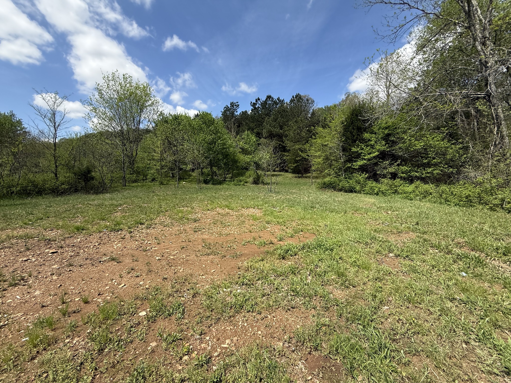 0 Tracy Road Hohenwald, TN 38462 - Photo 7 of 27 Gallery Image 7