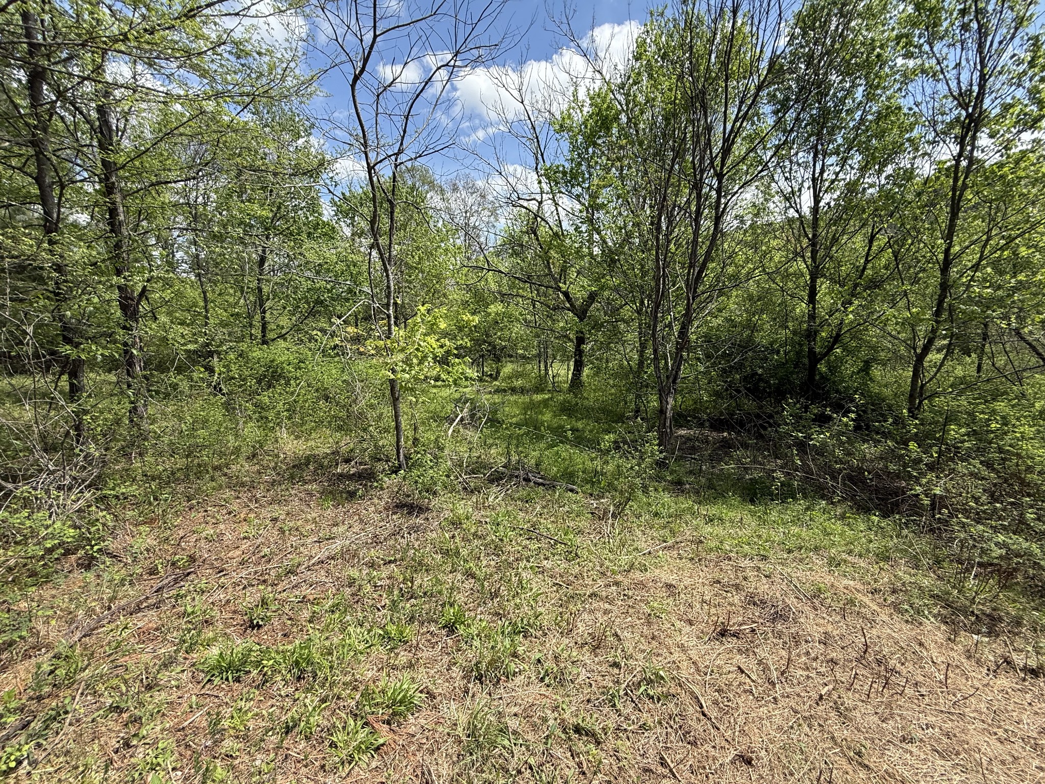 0 Tracy Road Hohenwald, TN 38462 - Photo 8 of 27 Gallery Image 8
