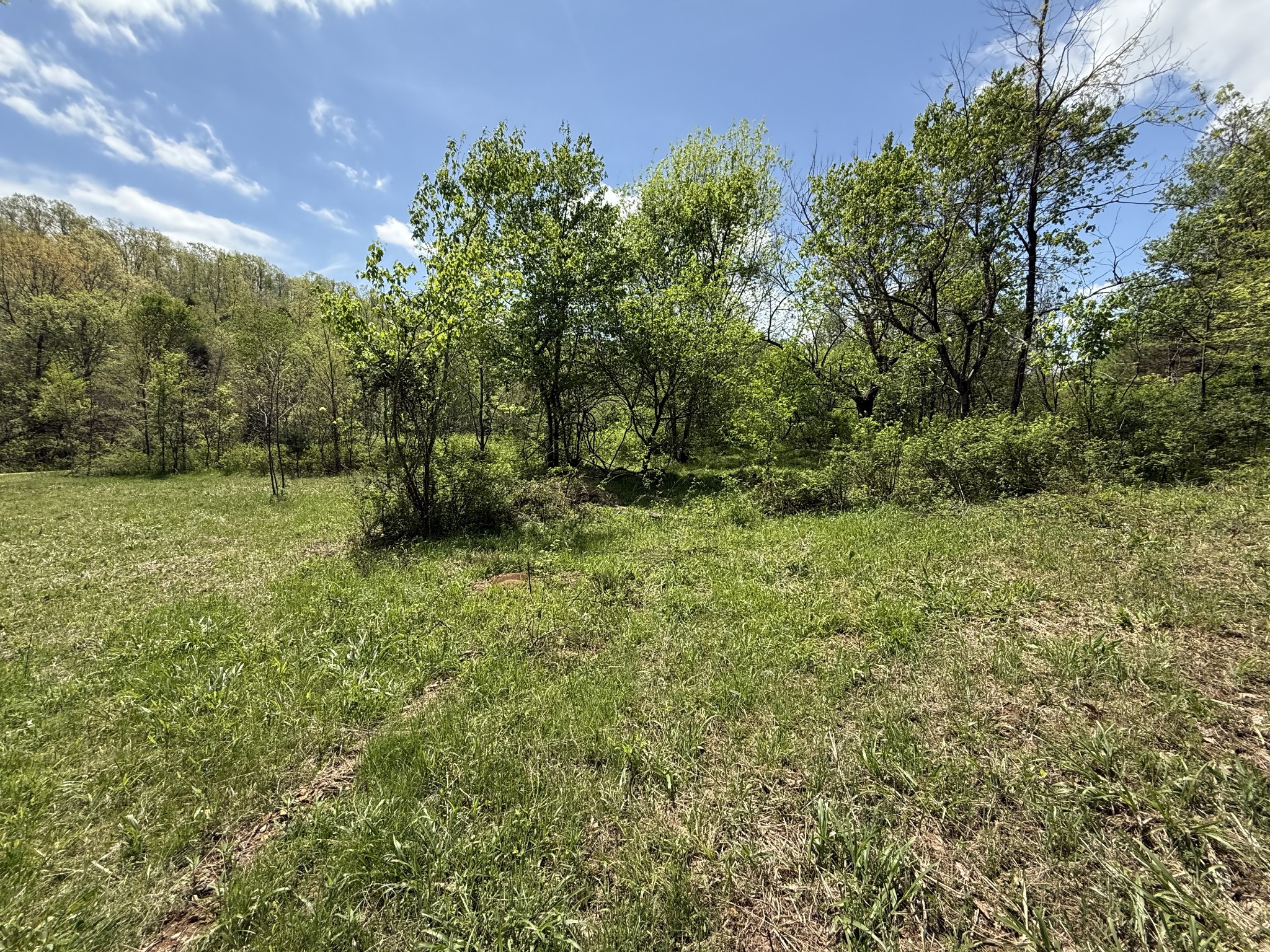 0 Tracy Road Hohenwald, TN 38462 - Photo 10 of 27 Gallery Image 10