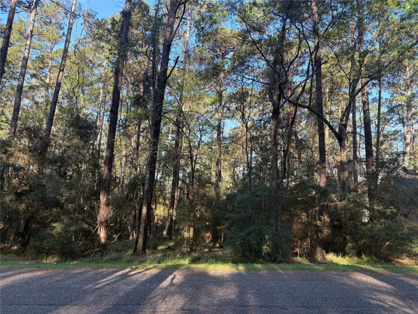 a view of outdoor space with trees