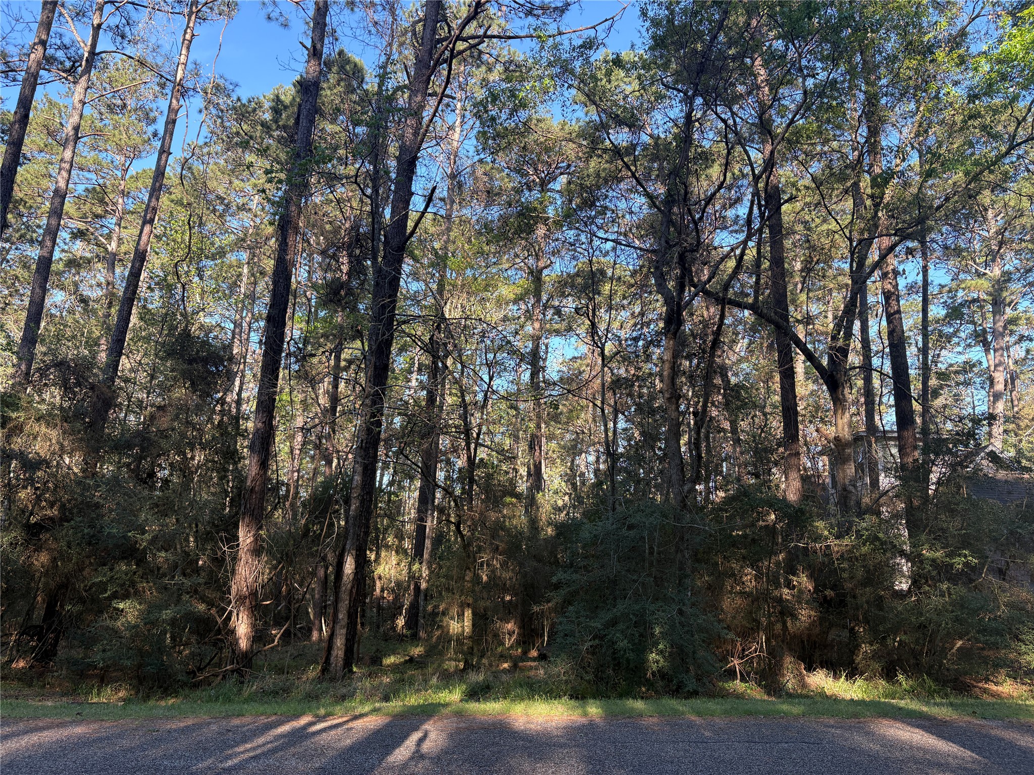 54 Green Tree Drive Coldspring, TX 77331 - Photo 2 of 11 a view of a city view