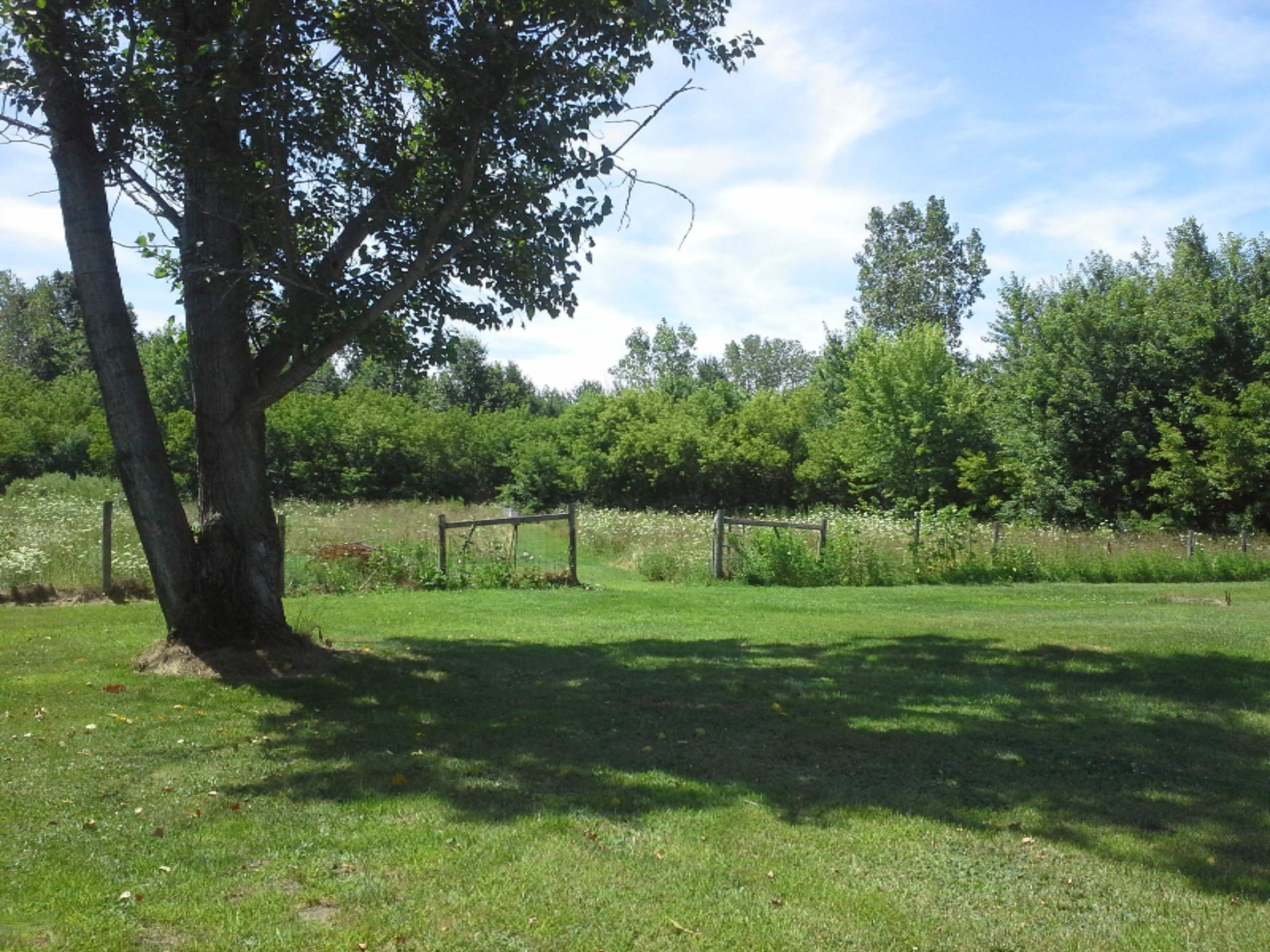 3074 Hinchman Road Bridgman, MI 49106 - Photo 22 of 83 2015-08-04 12.41.03