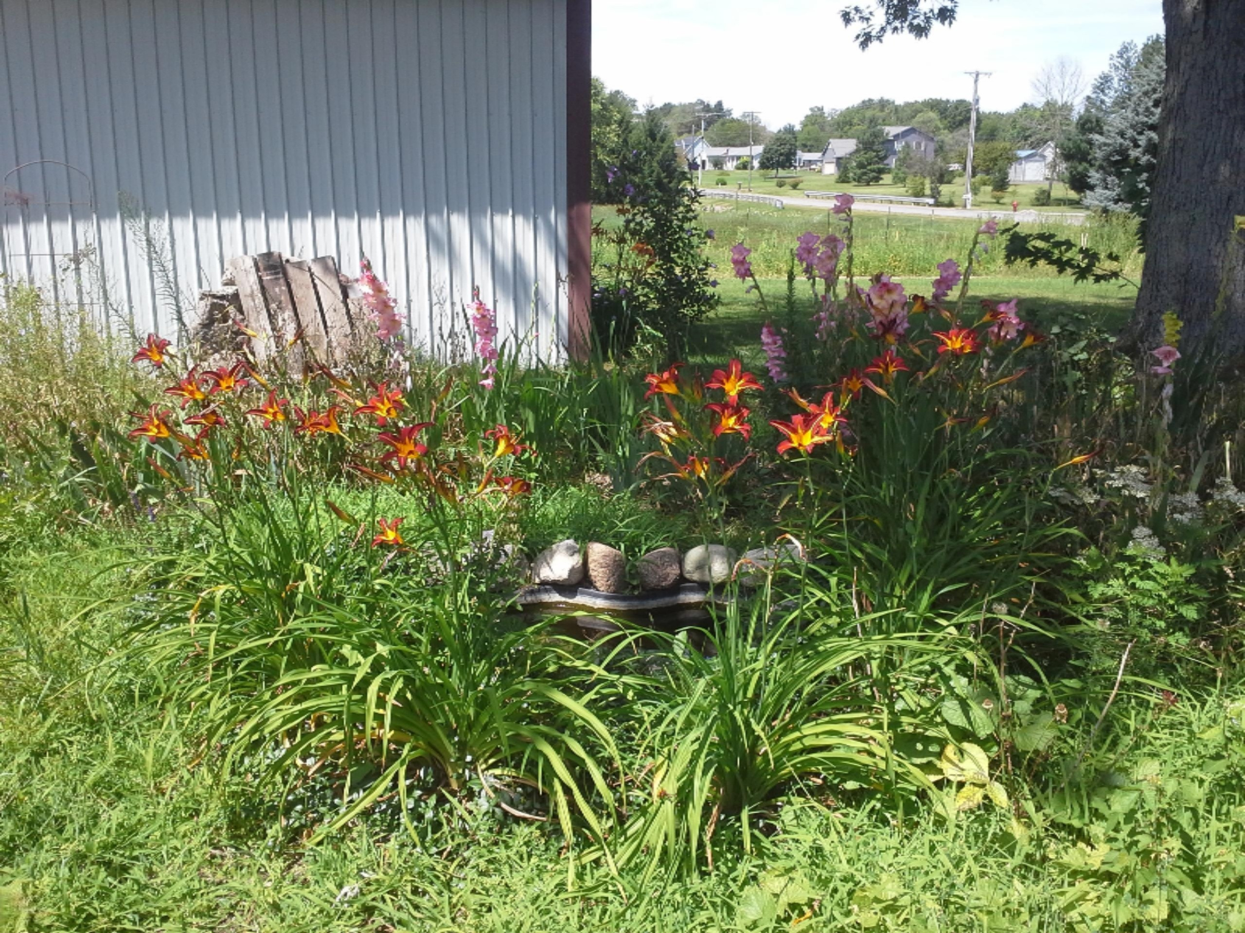 3074 Hinchman Road Bridgman, MI 49106 - Photo 26 of 83 2015-08-04 12.50.19