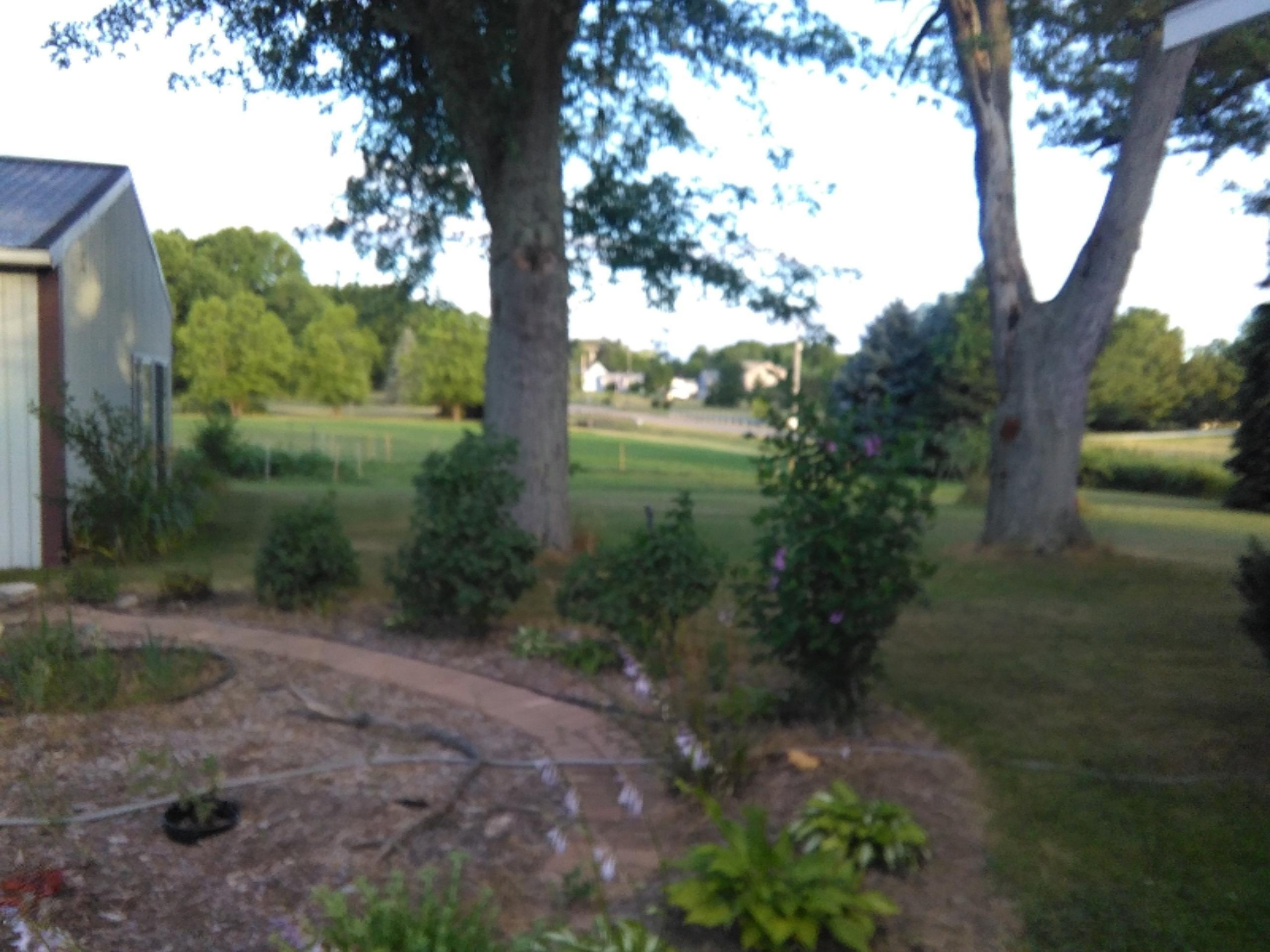 3074 Hinchman Road Bridgman, MI 49106 - Photo 71 of 83 july2016 023