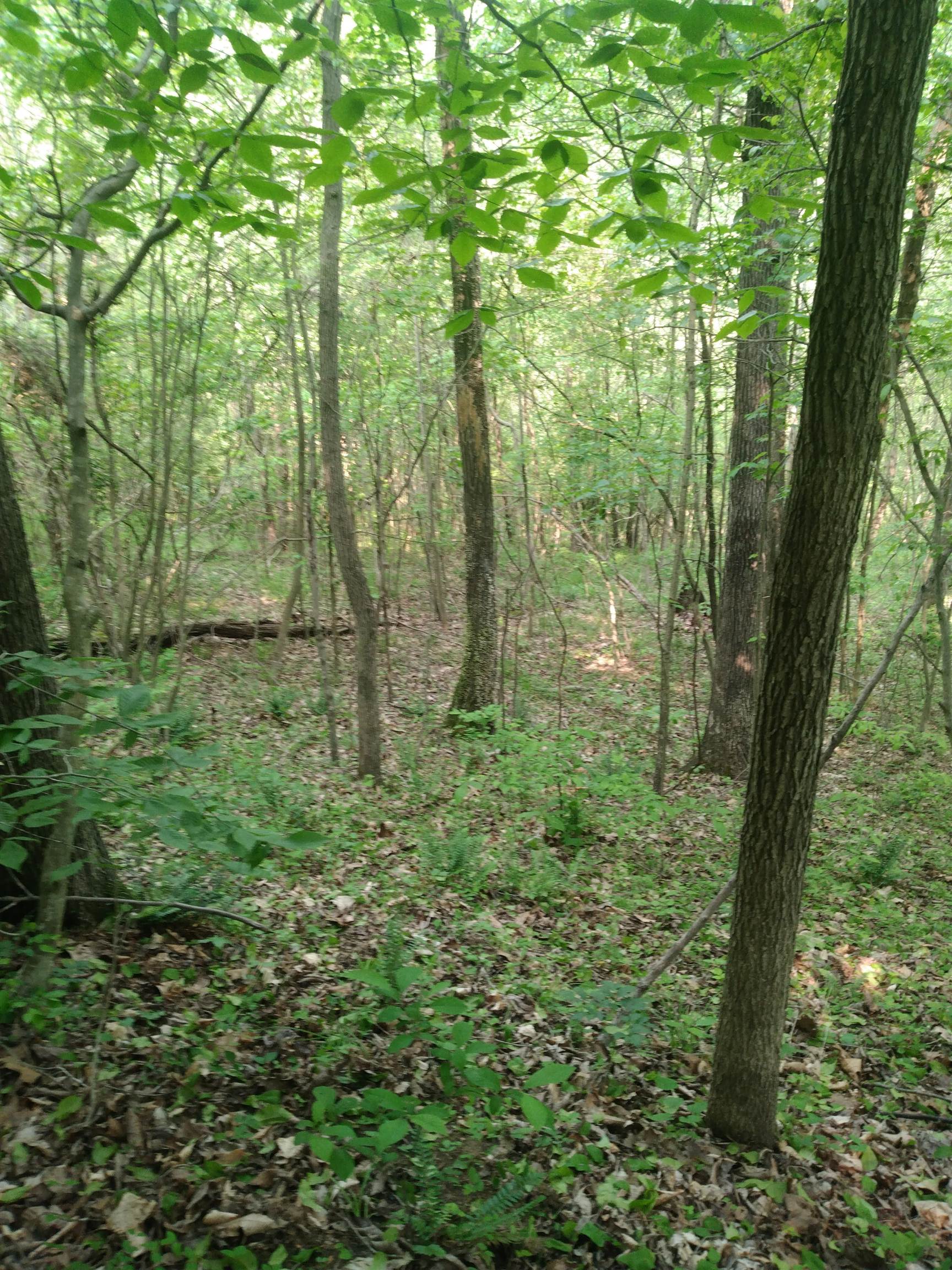 3769 Old Union Road Ironton, OH 45638 - Photo 2 of 13 Gallery Image 2