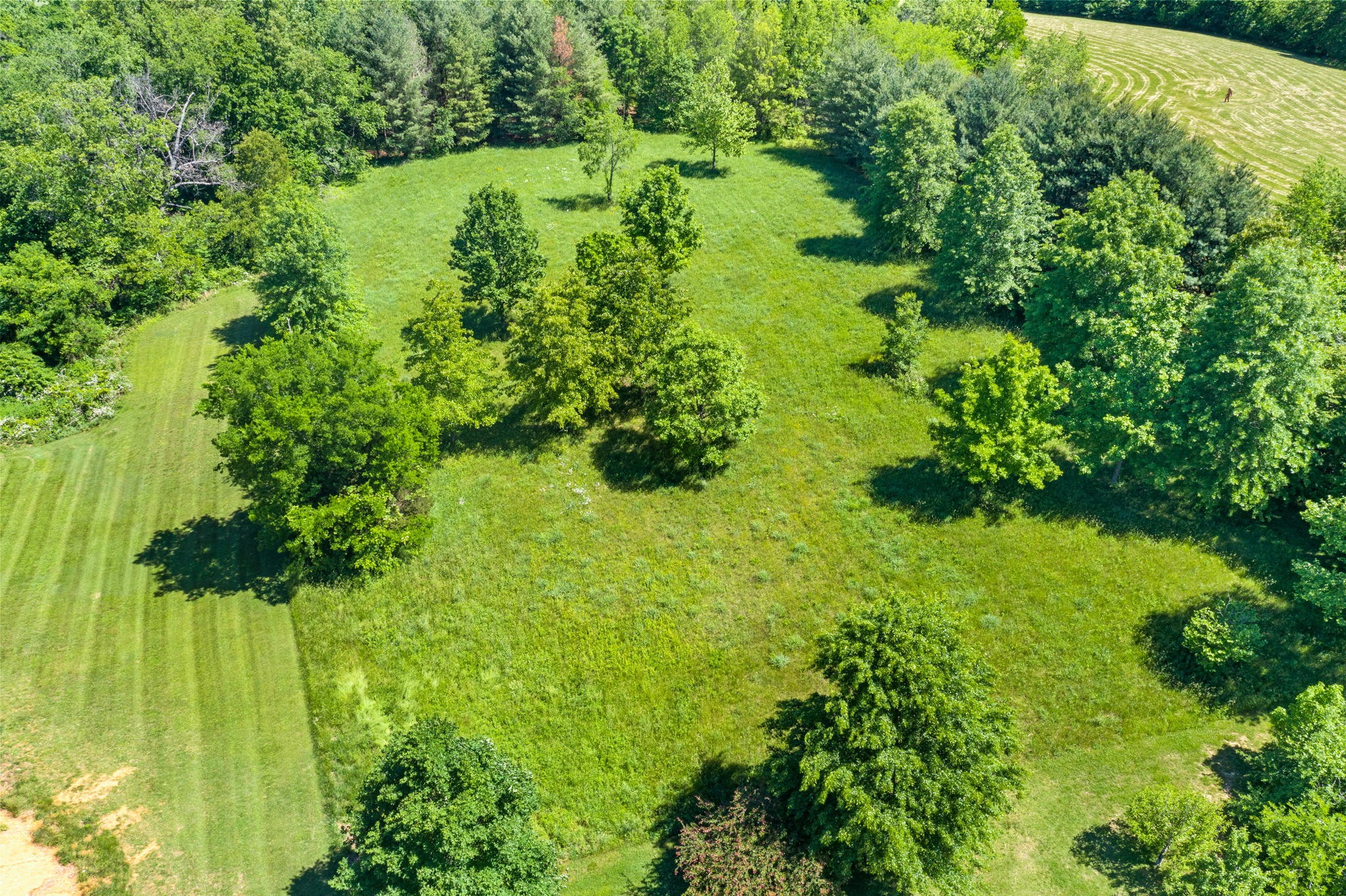7928 Cedar Grove Road Cross Plains, TN 37049 - Photo 44 of 48 Gallery Image 44