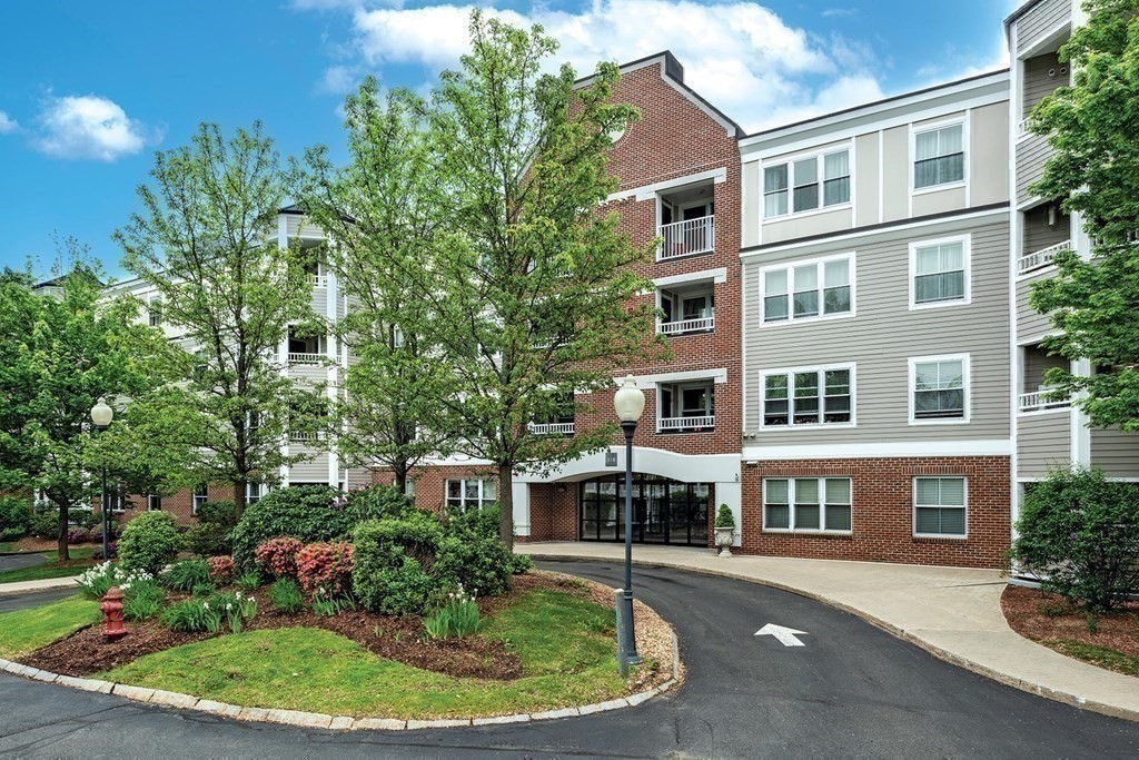 318 Rindge Avenue, Unit 201 Cambridge, MA 02140 - Photo 18 of 21 Gallery Image 18