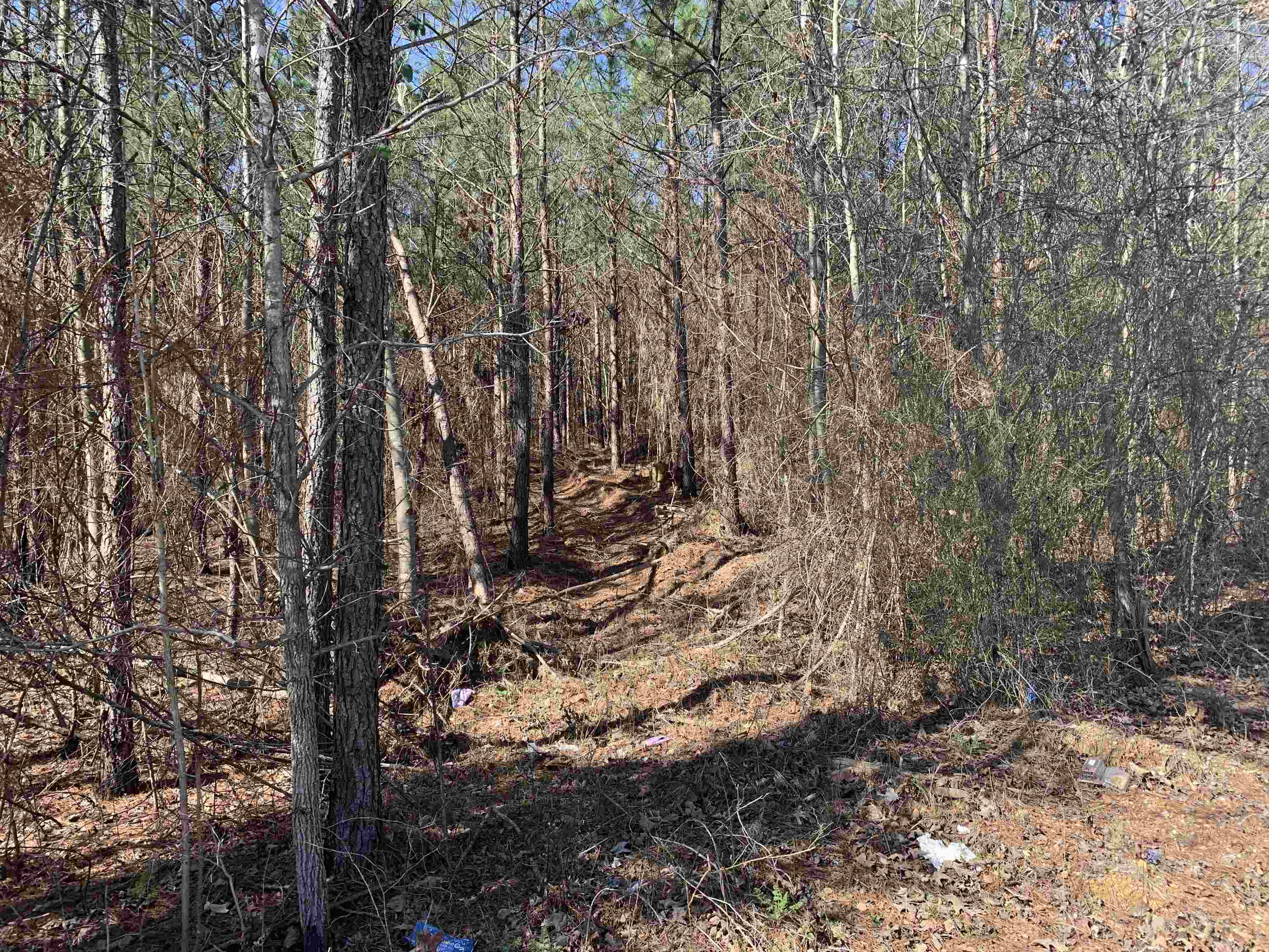 Meeks Road Adamsville, TN 38310 - Photo 11 of 15