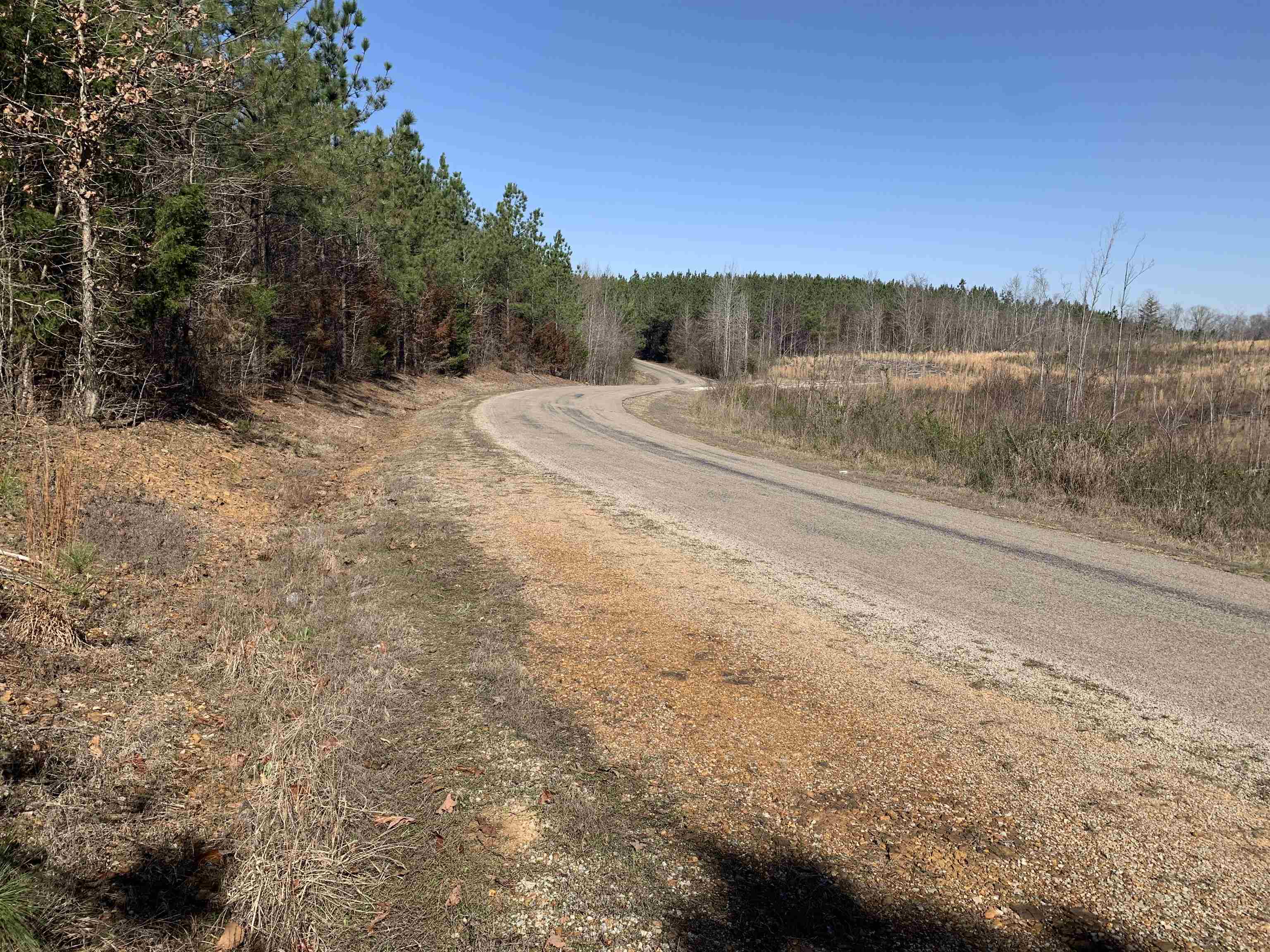 Meeks Road Adamsville, TN 38310 - Photo 13 of 15 a view of a field