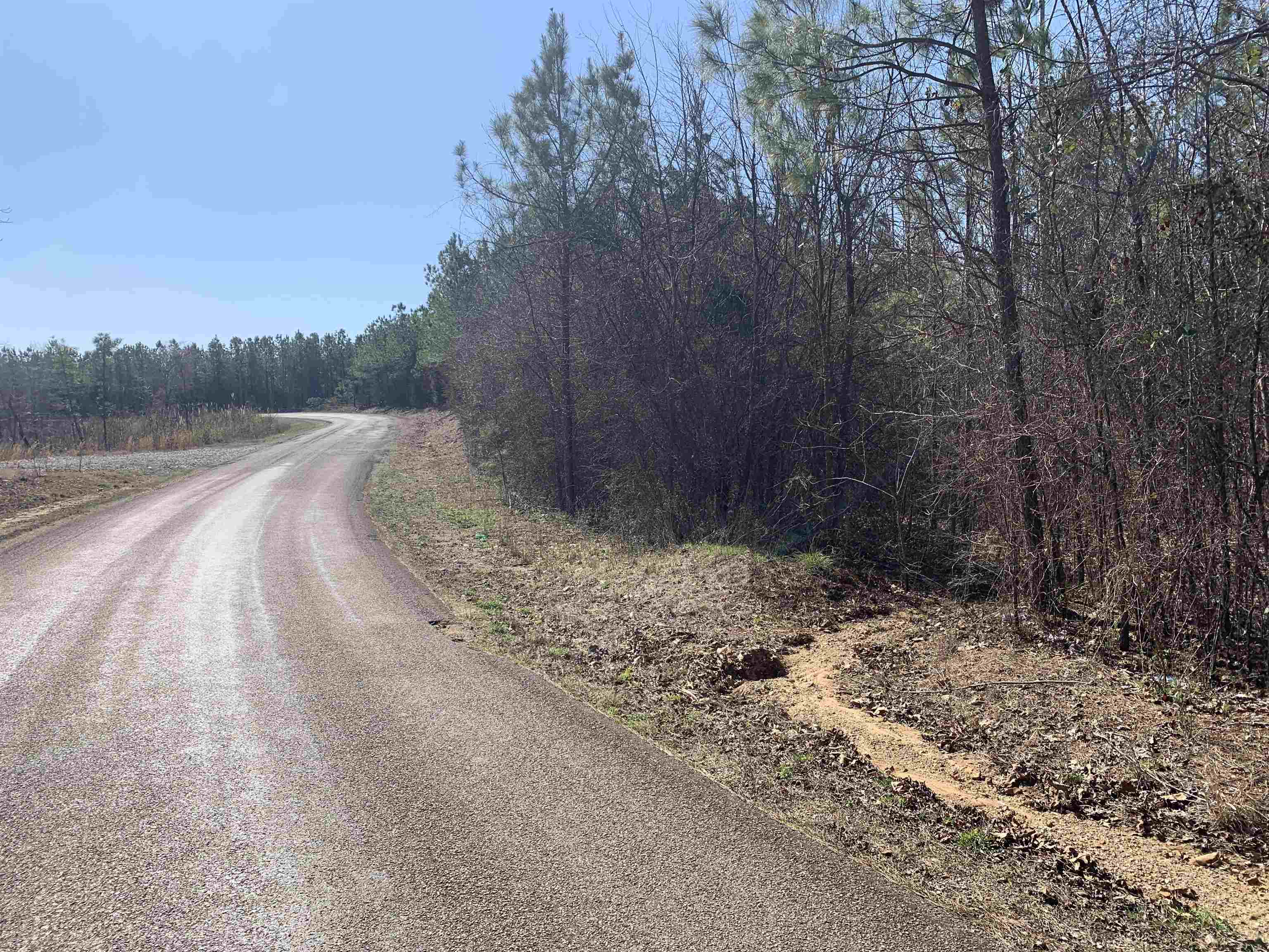 Meeks Road Adamsville, TN 38310 - Photo 14 of 15 a view of a yard with mountain view
