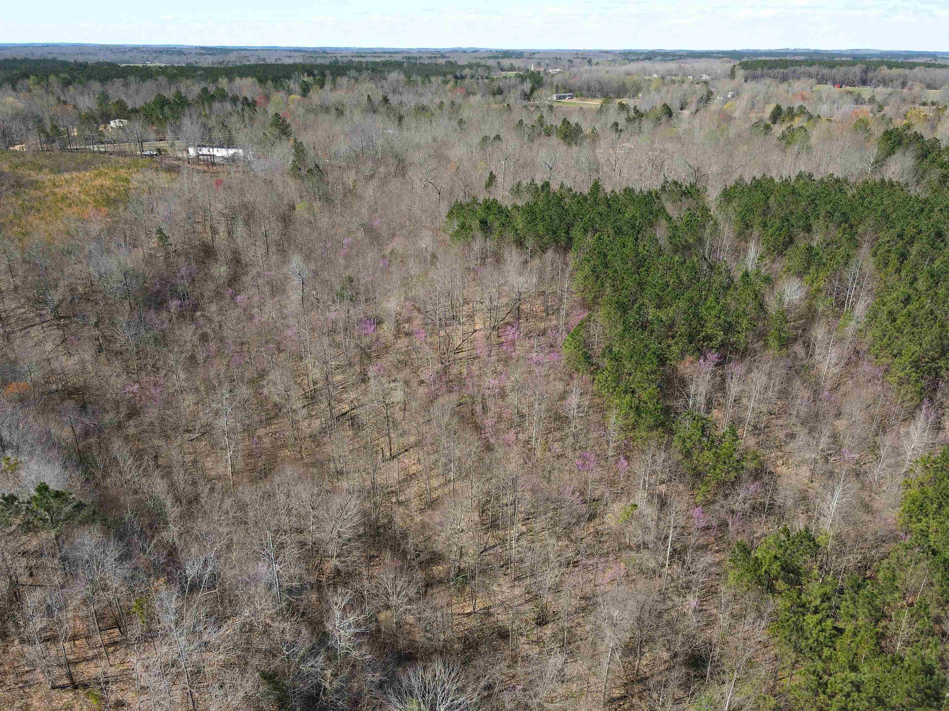 Meeks Road Adamsville, TN 38310 - Photo 3 of 15 a view of a dry yard with trees in the background
