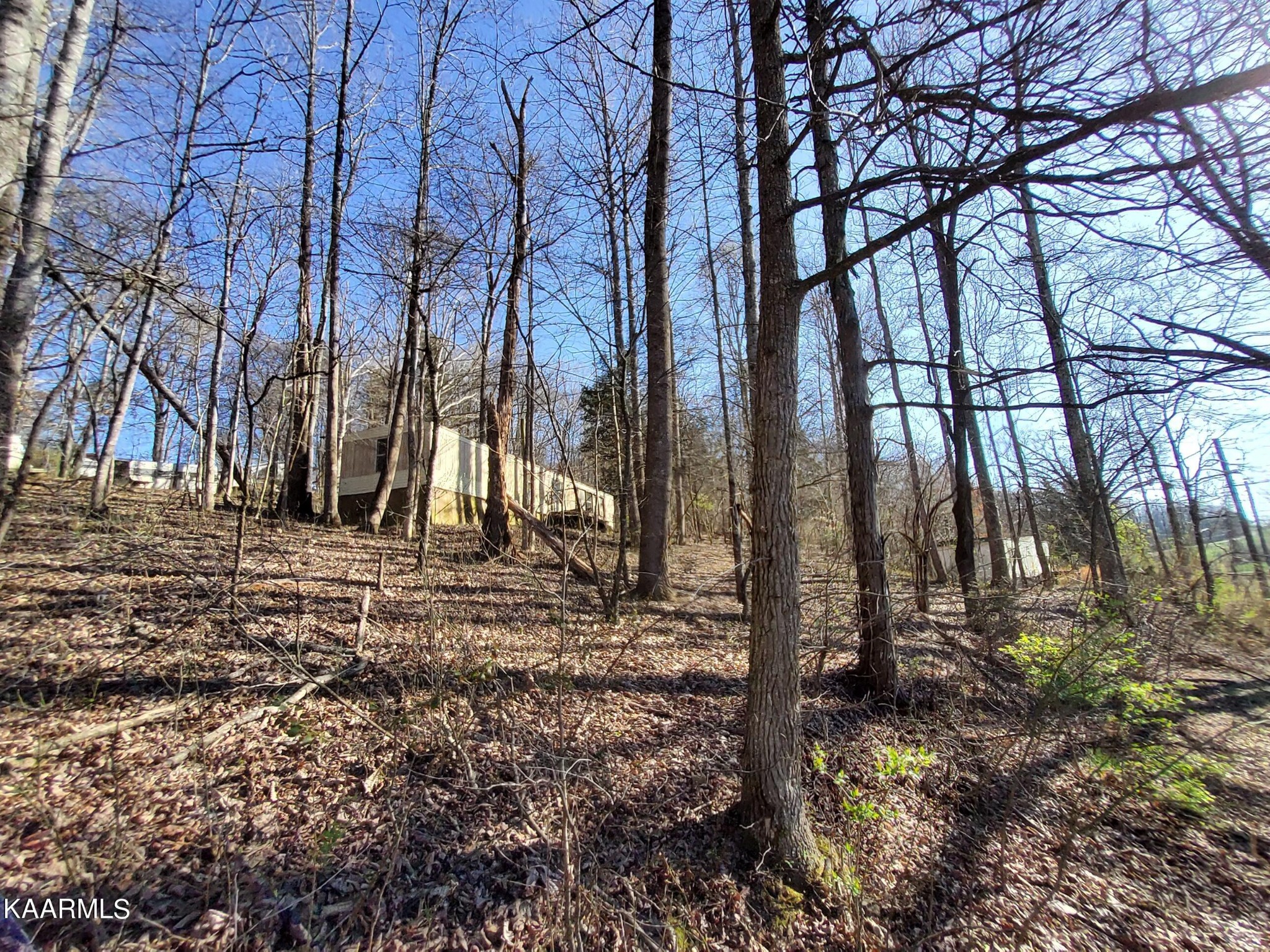 1858 Dumplin Loop Road New Market, TN 37820 - Photo 11 of 28 a backyard of a house with lots of green space