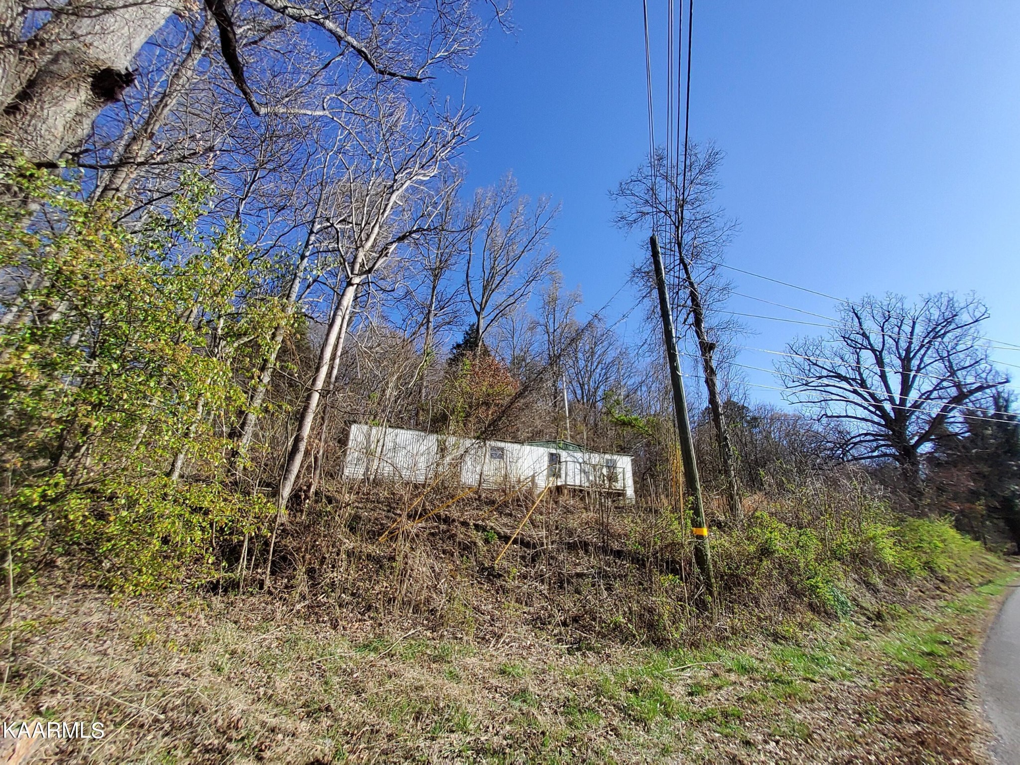 1858 Dumplin Loop Road New Market, TN 37820 - Photo 13 of 28 a view of a backyard