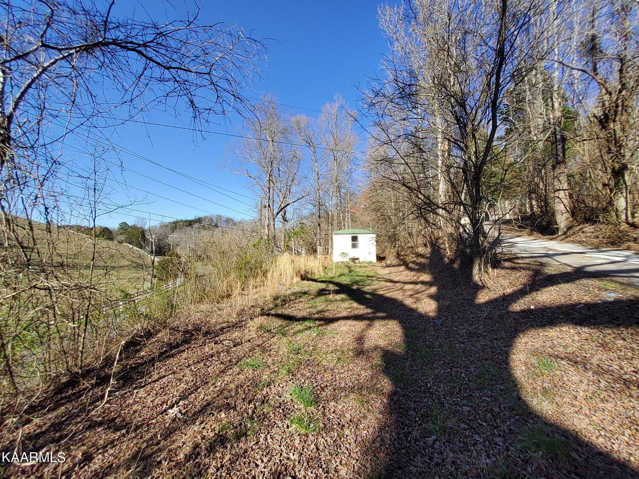 1858 Dumplin Loop Road New Market, TN 37820 - Photo 14 of 28 a view of a yard with plants and trees