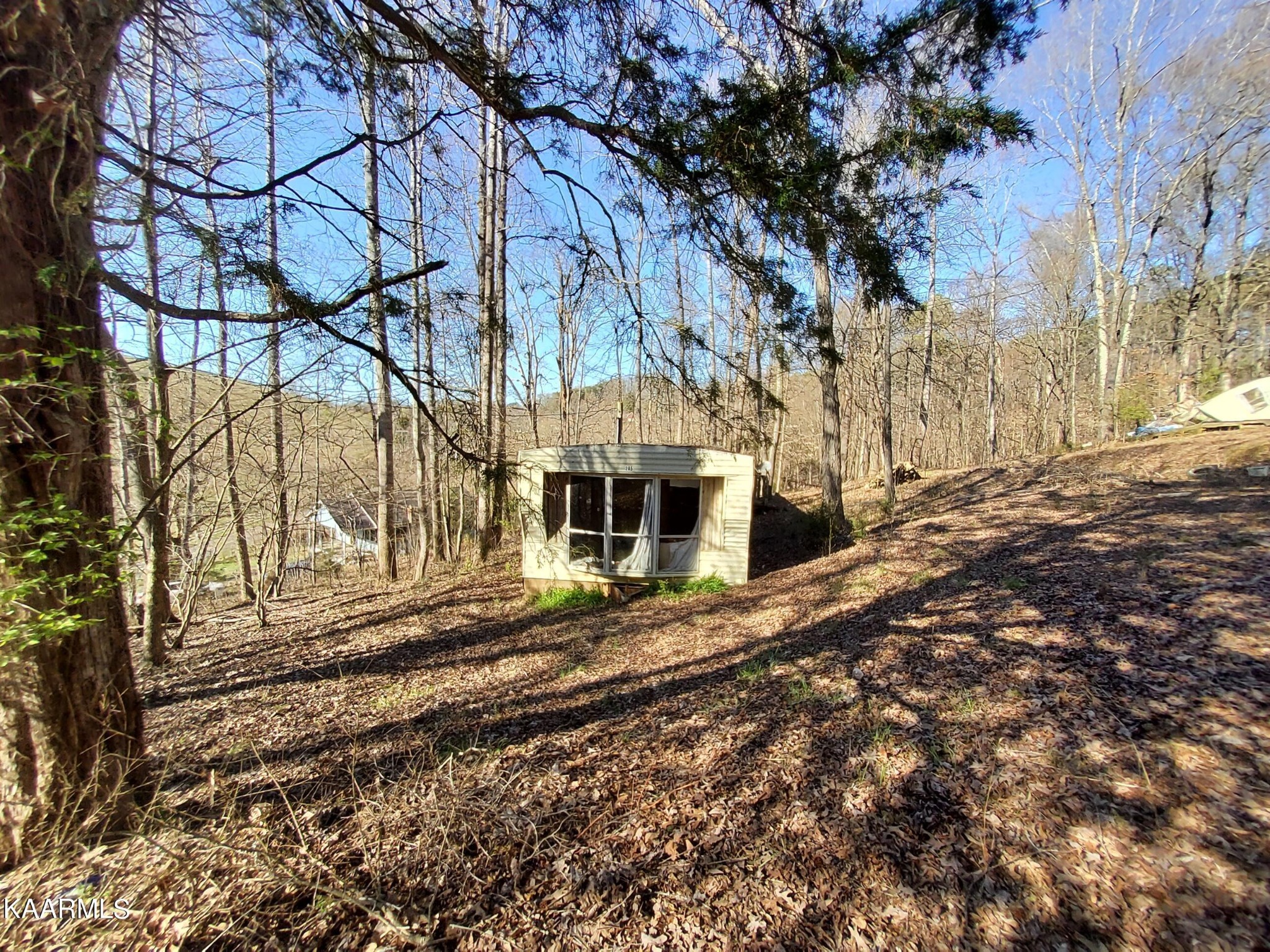 1858 Dumplin Loop Road New Market, TN 37820 - Photo 15 of 28 a view of a house with a yard