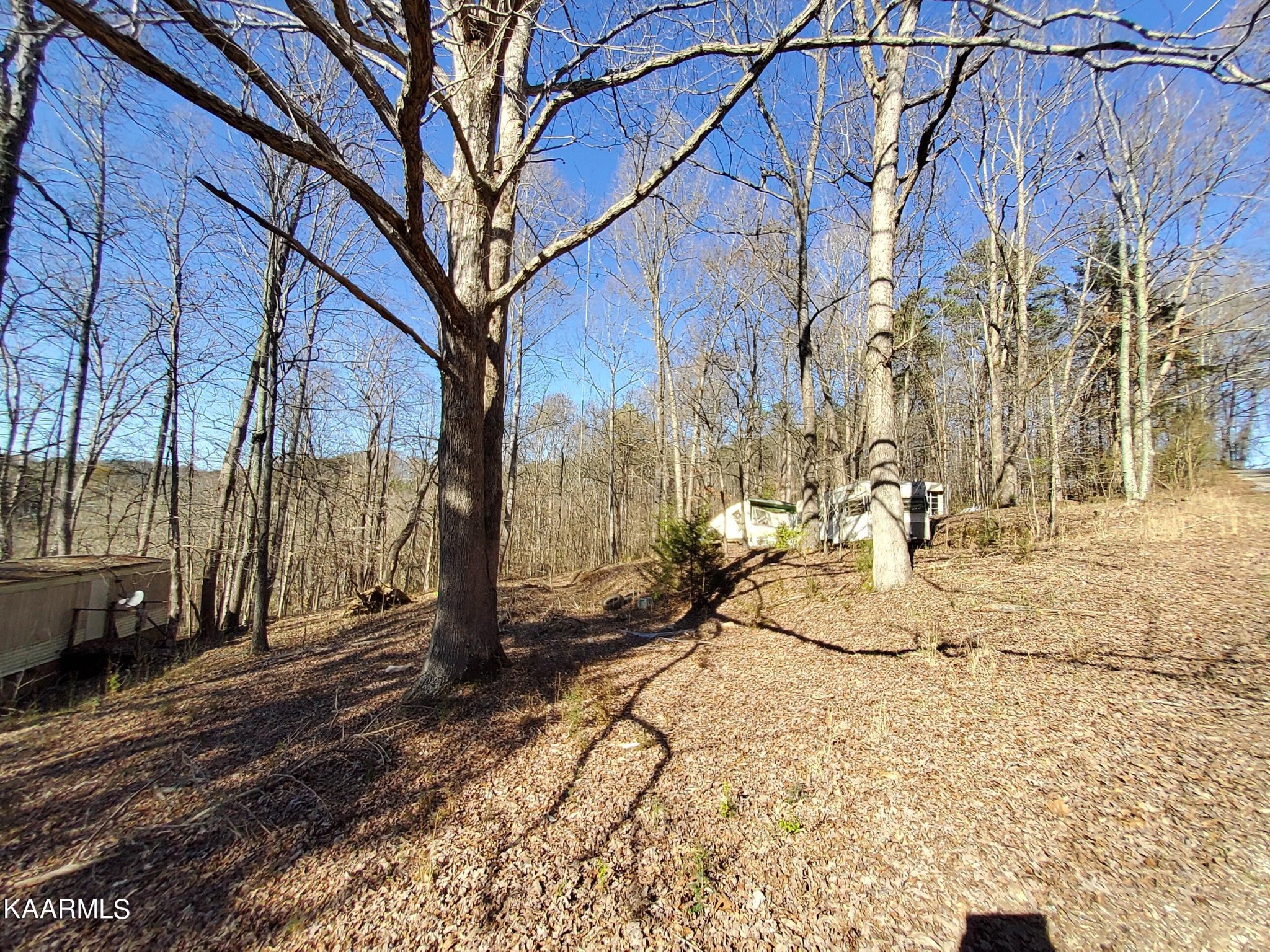 1858 Dumplin Loop Road New Market, TN 37820 - Photo 16 of 28