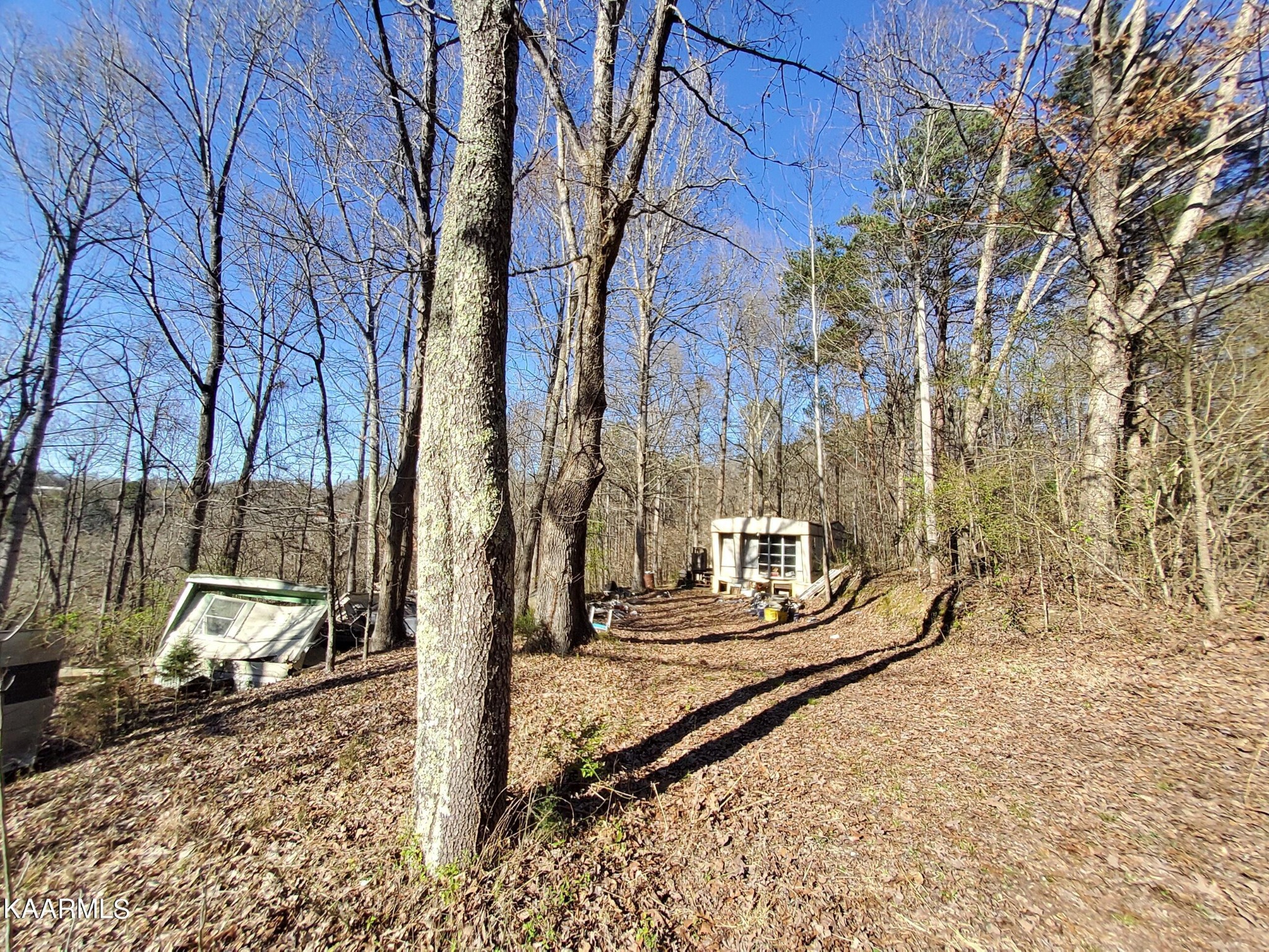 1858 Dumplin Loop Road New Market, TN 37820 - Photo 17 of 28 a view of a train yard