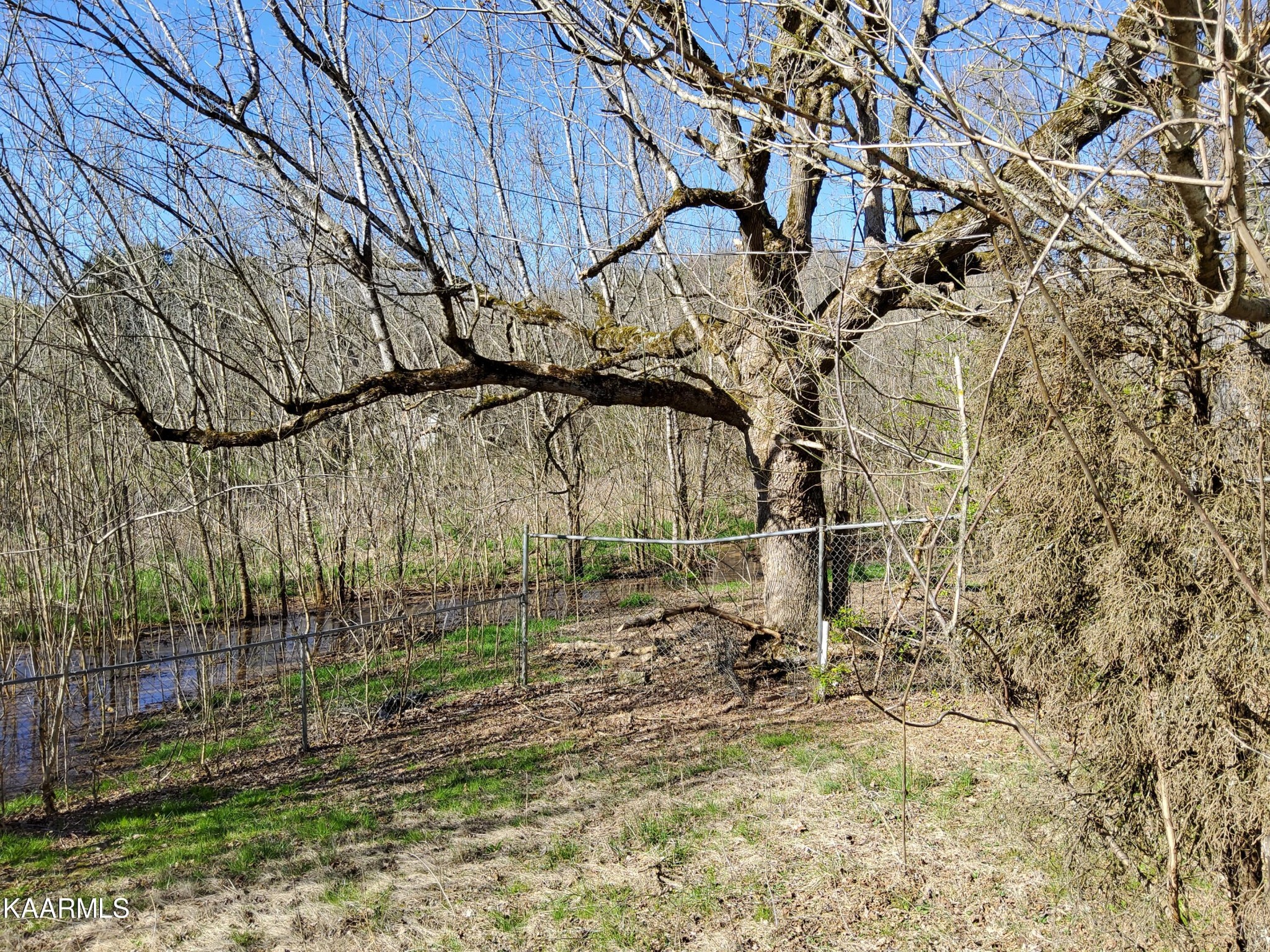 1858 Dumplin Loop Road New Market, TN 37820 - Photo 3 of 28 a view of wooden fence