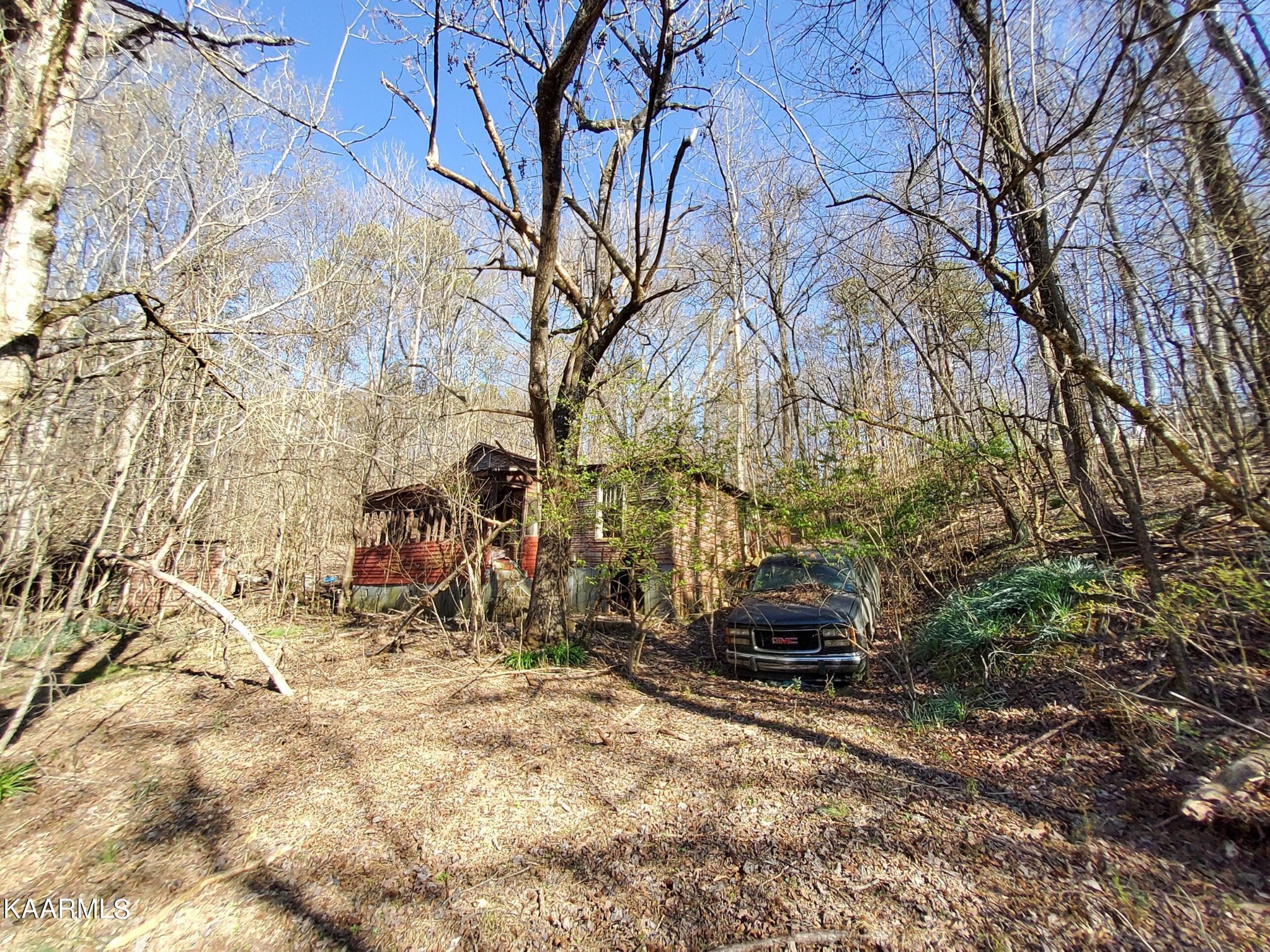 1858 Dumplin Loop Road New Market, TN 37820 - Photo 4 of 28 a backyard of a house with trees