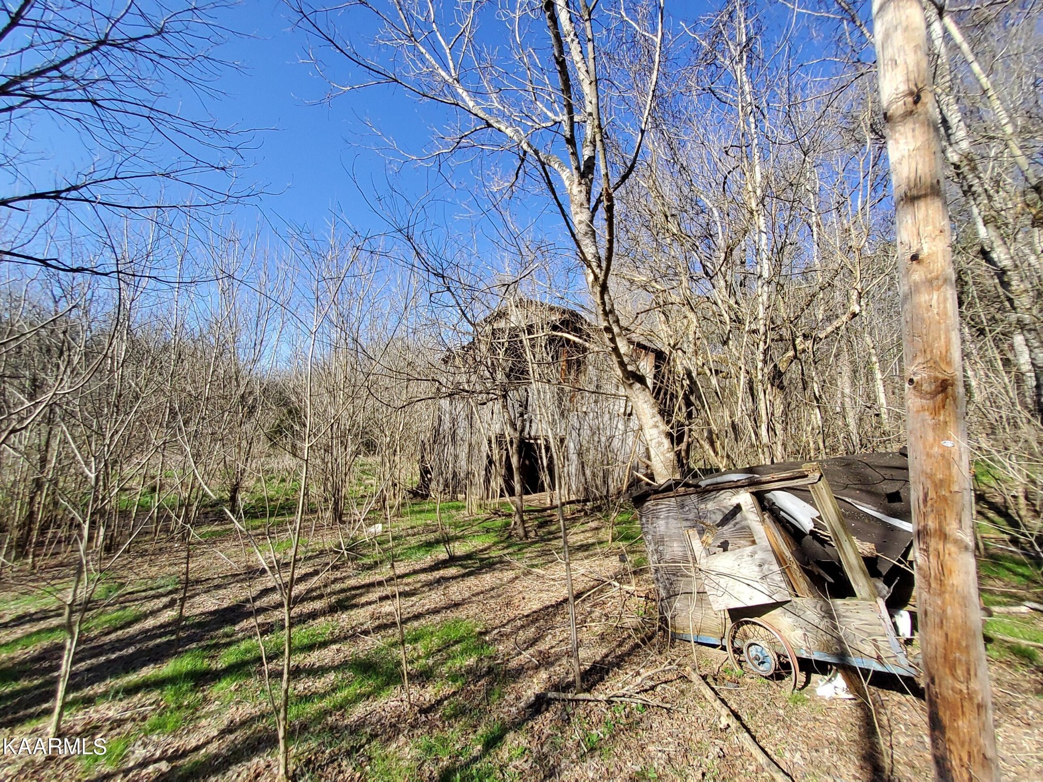1858 Dumplin Loop Road New Market, TN 37820 - Photo 6 of 28 a backyard of a house with lots of green space