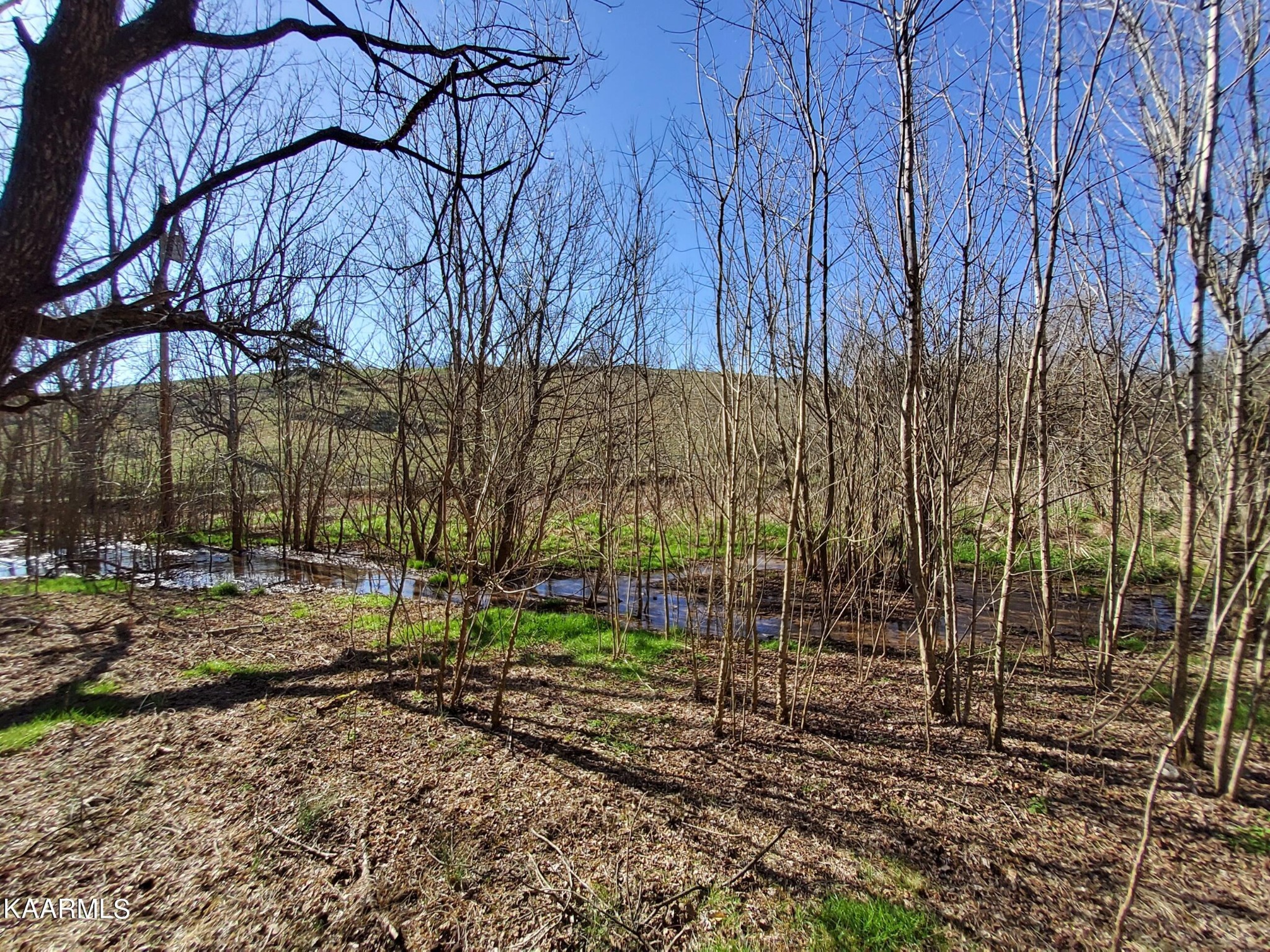 1858 Dumplin Loop Road New Market, TN 37820 - Photo 7 of 28 a backyard of a house with lots of green space